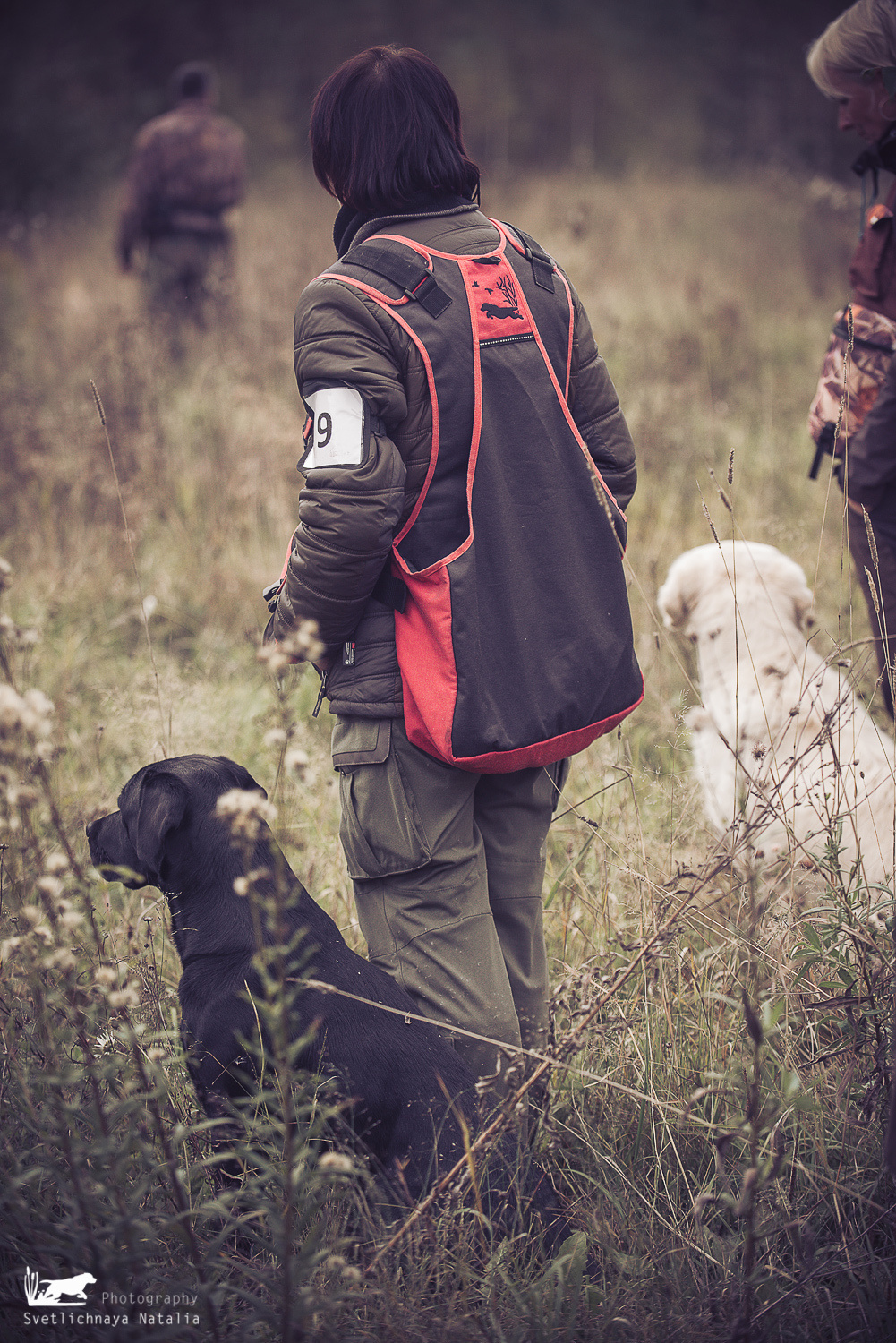 Field trial, 2019. Фотограф-анималист Наталья Светличная