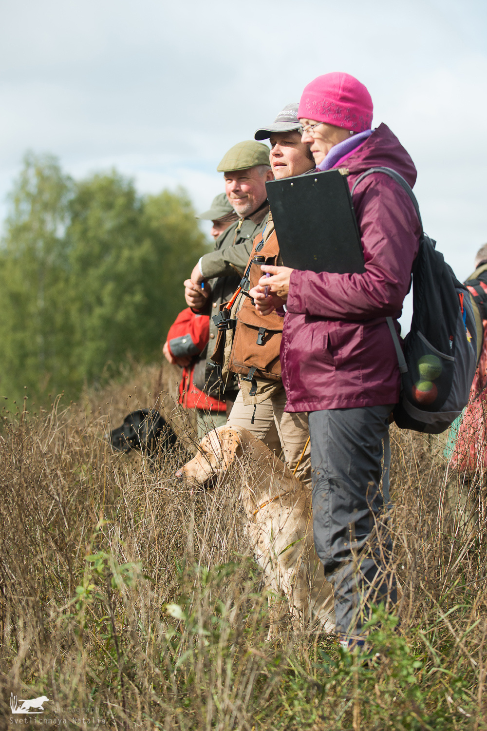 Field trial, 2018. Фотограф-анималист Наталья Светличная