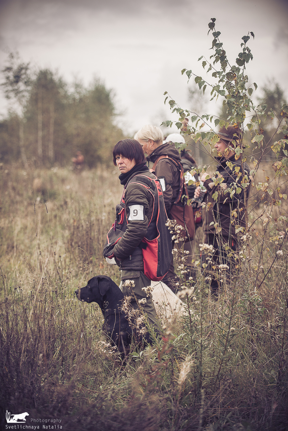 Field trial, 2019. Фотограф-анималист Наталья Светличная