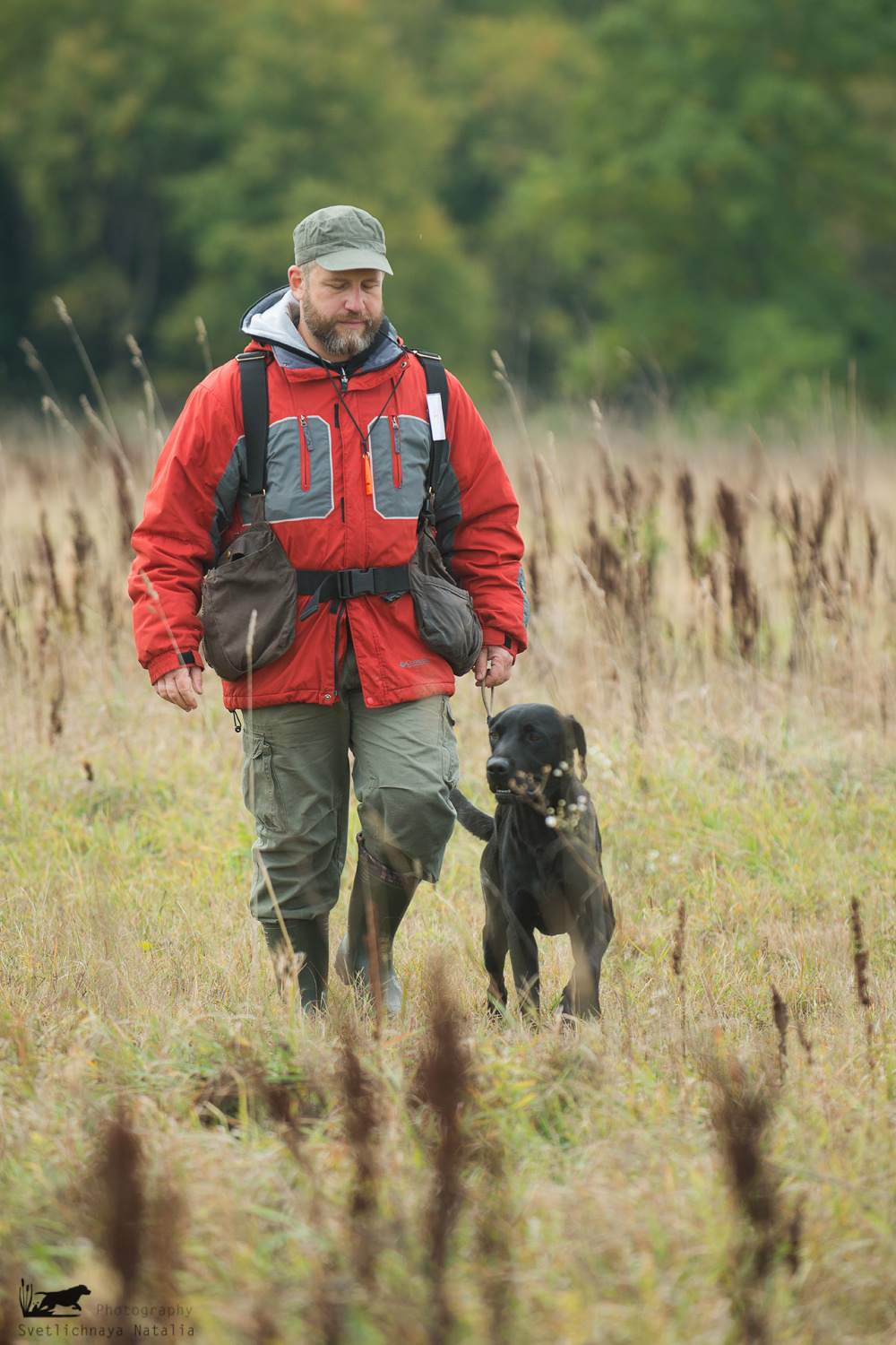 Field trial, 2018. Фотограф-анималист Наталья Светличная