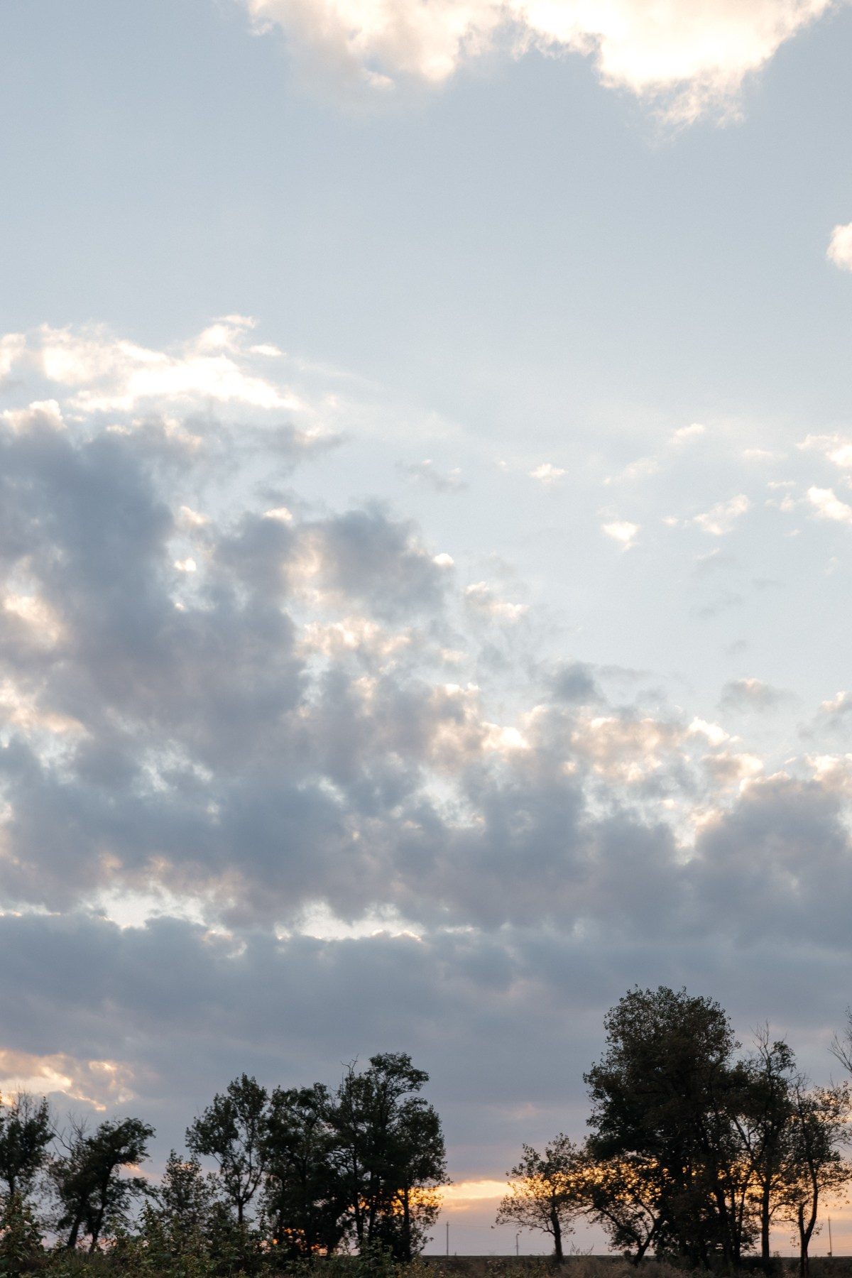 ПО МОТИВАМ КРЕСТНОГО ОТЦА. Свадебный фотограф Верещак Сергей I Ростов-на-Дону