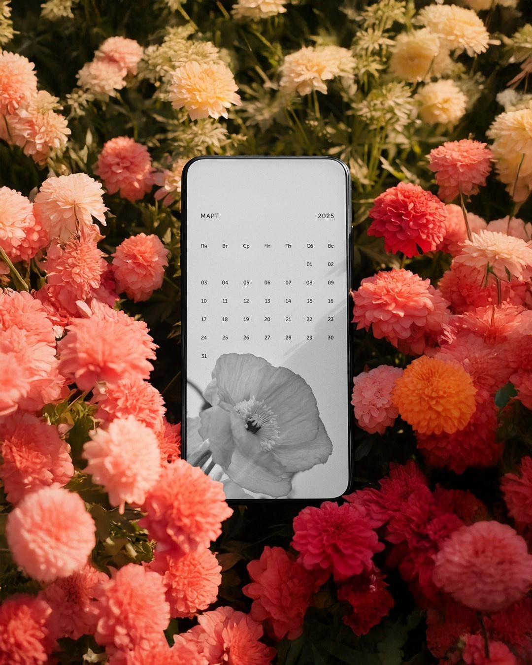 Отзывы профессиональных фотографов о диске Wfolio