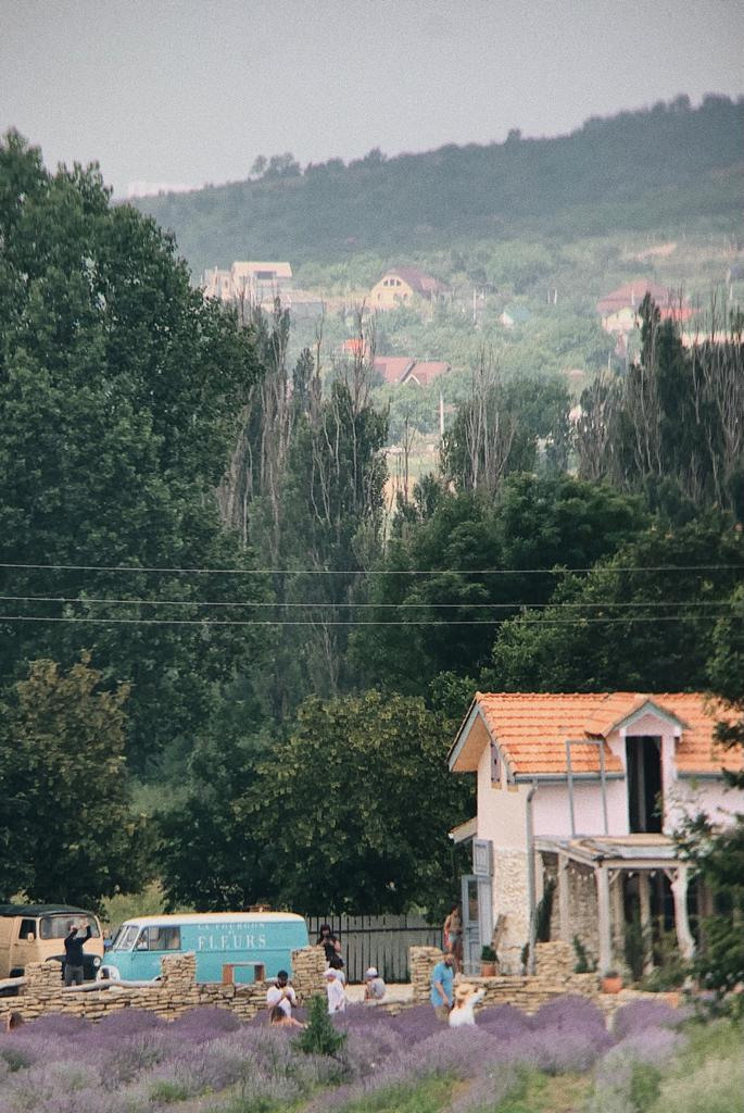 Лаванда. Семейный фотограф в Анапе Светлана Тернопол