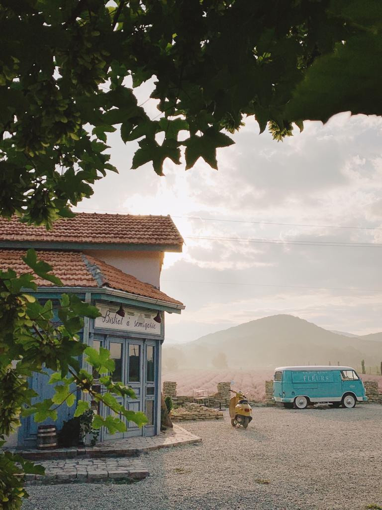 Лаванда. Семейный фотограф в Анапе Светлана Тернопол
