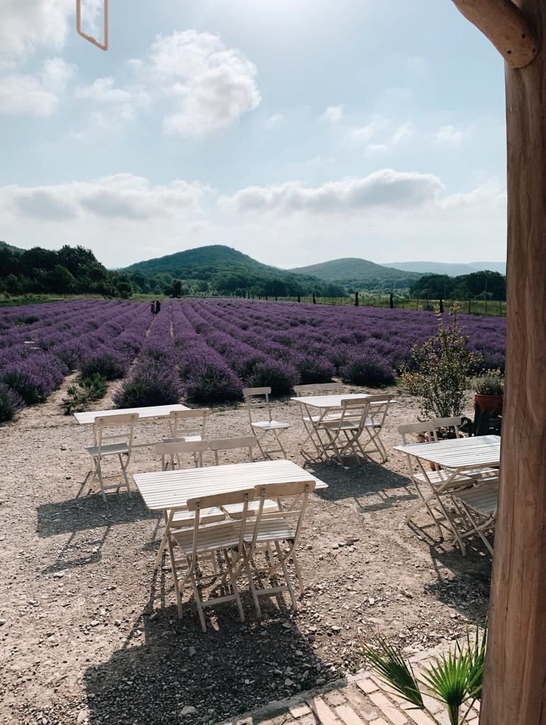 Лаванда. Семейный фотограф в Анапе Светлана Тернопол