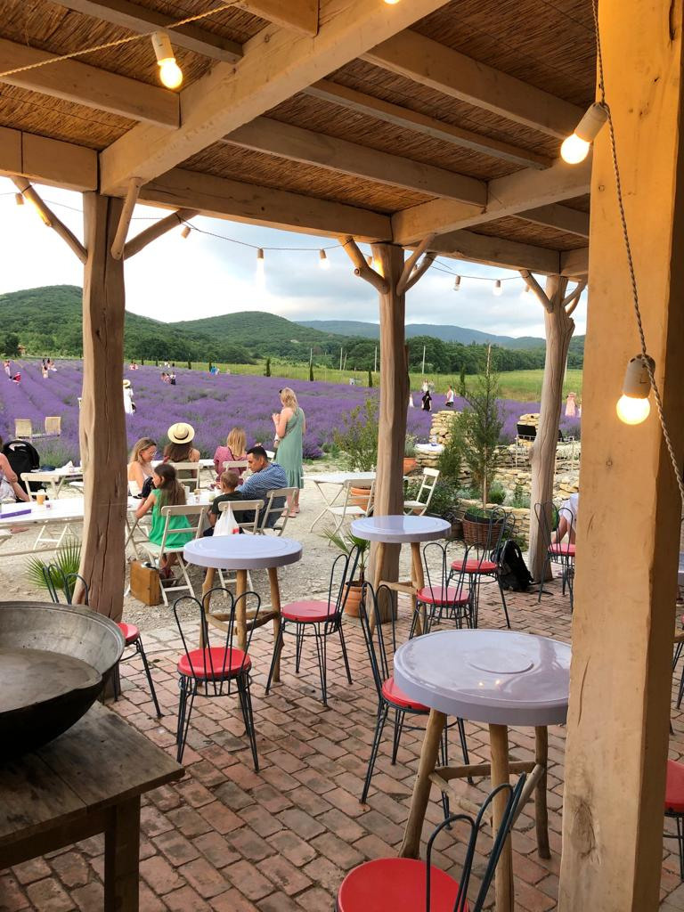 Лаванда. Семейный фотограф в Анапе Светлана Тернопол