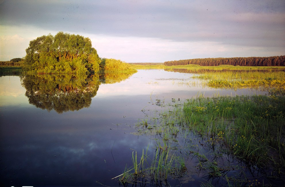 Весна. ВАДИМ ГИППЕНРЕЙТЕР — ВЕЛИКИЙ ФОТОГРАФ ЗЕМЛИ РУССКОЙ