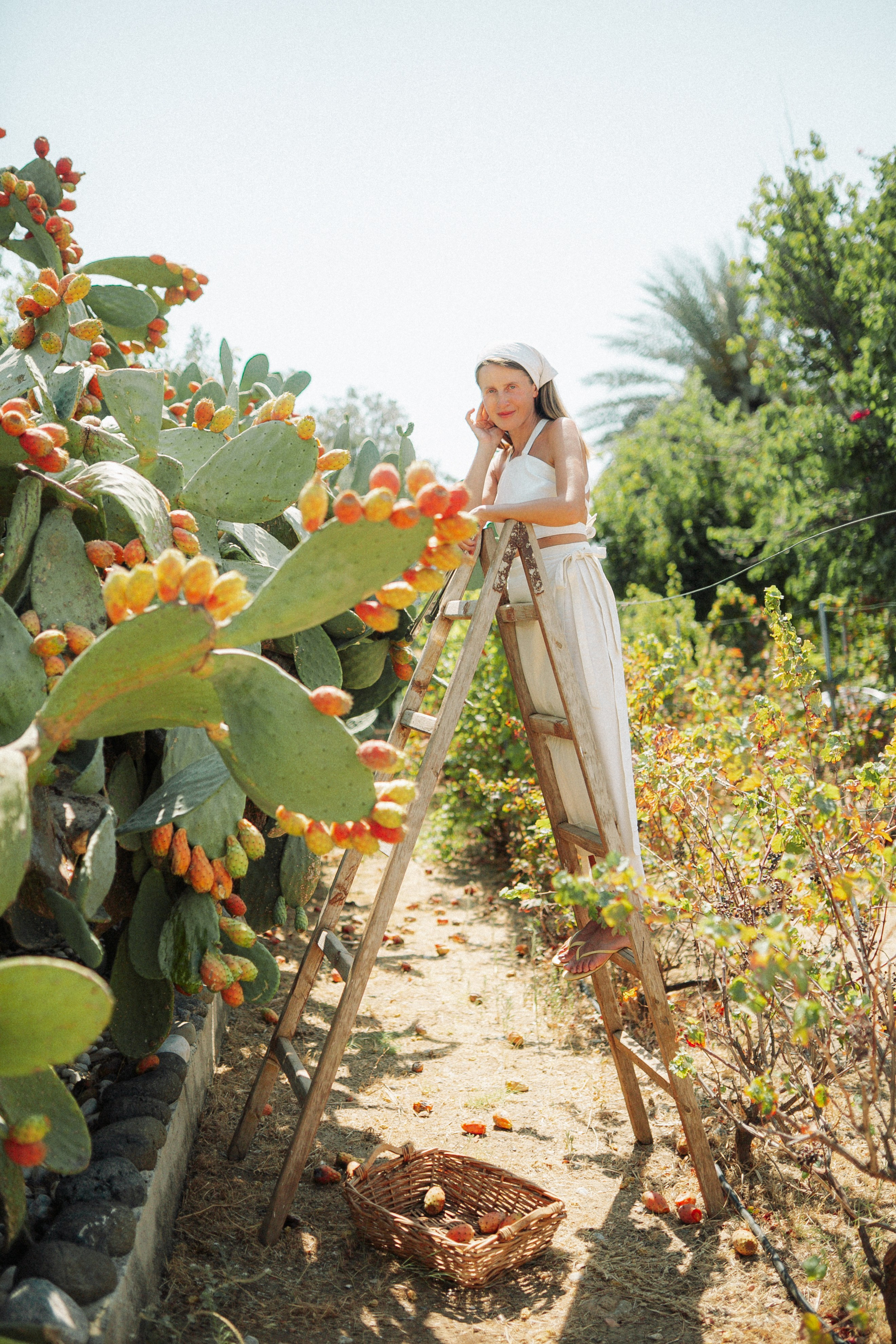 Фотограф Мария Оводова создает фотосессию в оливковых садах в Турции: Бодрум, Датча, Мармарис.