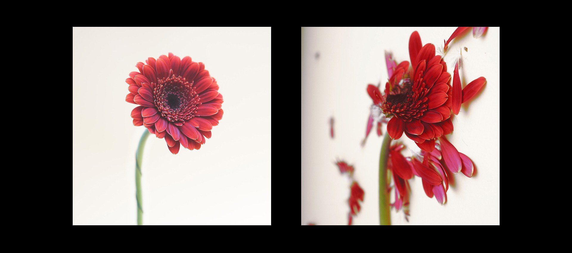 Этапы жизни. Фотограф из Москвы — DASHA NOVA | Авторская фотография в разных жанрах