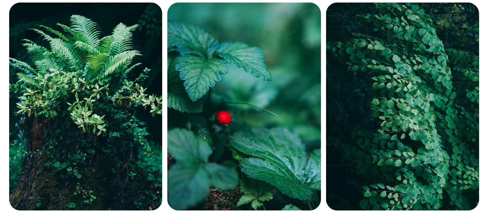 Калининград 3. Фотограф из Москвы — DASHA NOVA | Авторская фотография в разных жанрах