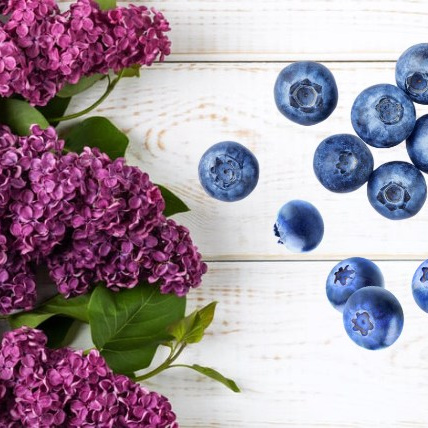 Уникальные ароматы. Индивидуальный аромат для свечей. Свечи и саше из гипса. PARFDESIGN — премиальные аромасвечи, свечи-цветы, аромадиффузоры и аромасаше под вашим брендом под ключ. Производство от 2-х дней