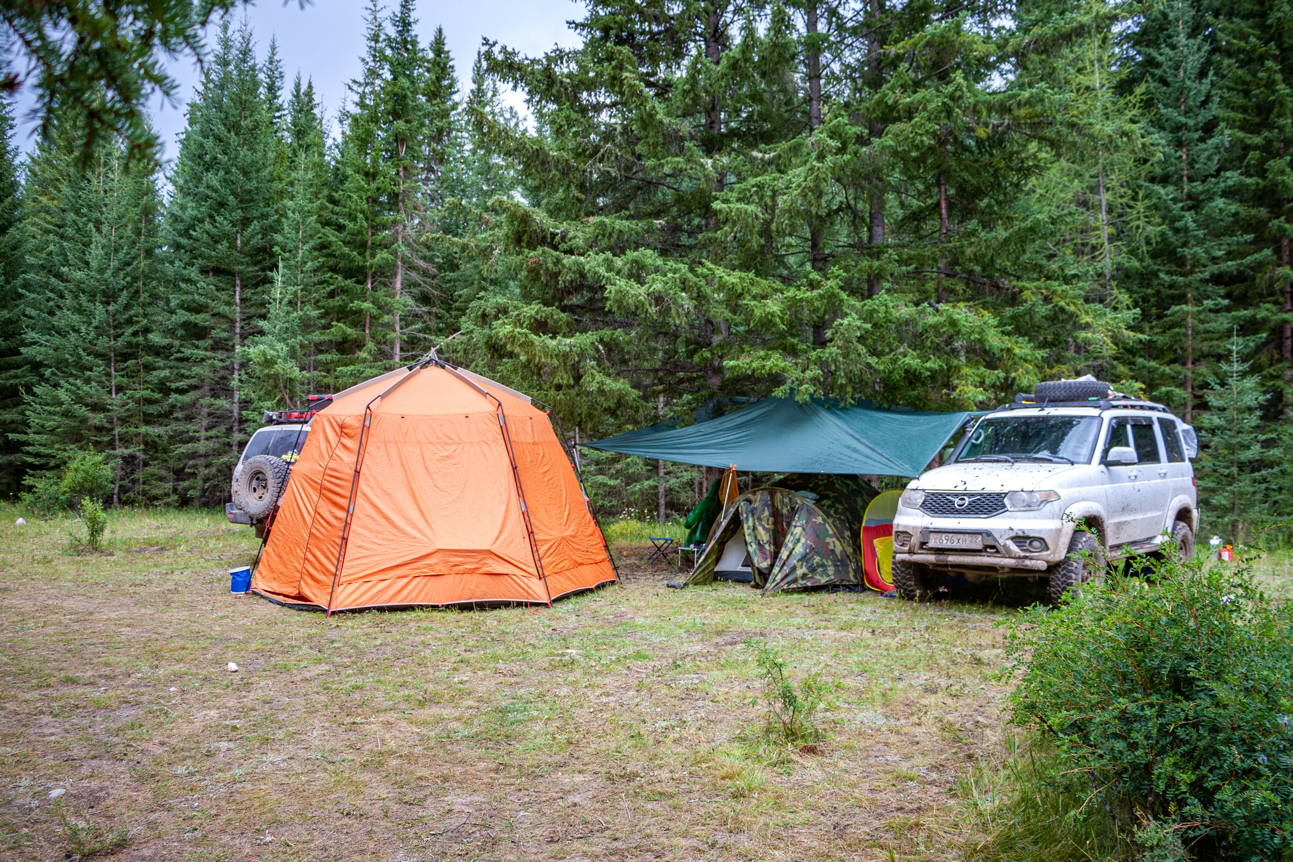 Плато Укок. Gennady Travel