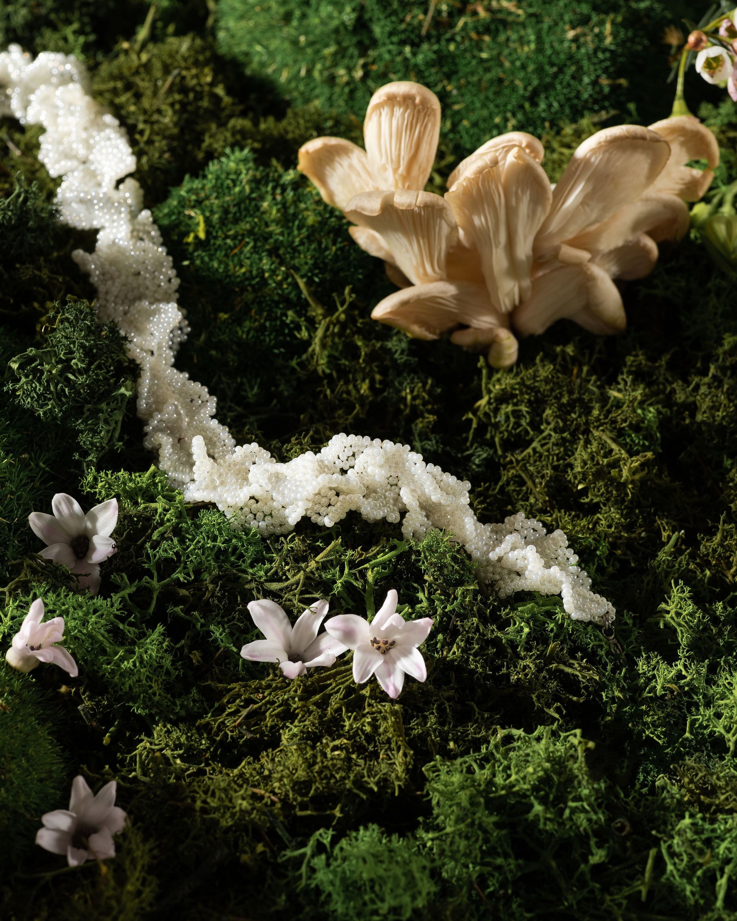 Почему предметные фотографии требуют много времени?. Предметная фотография