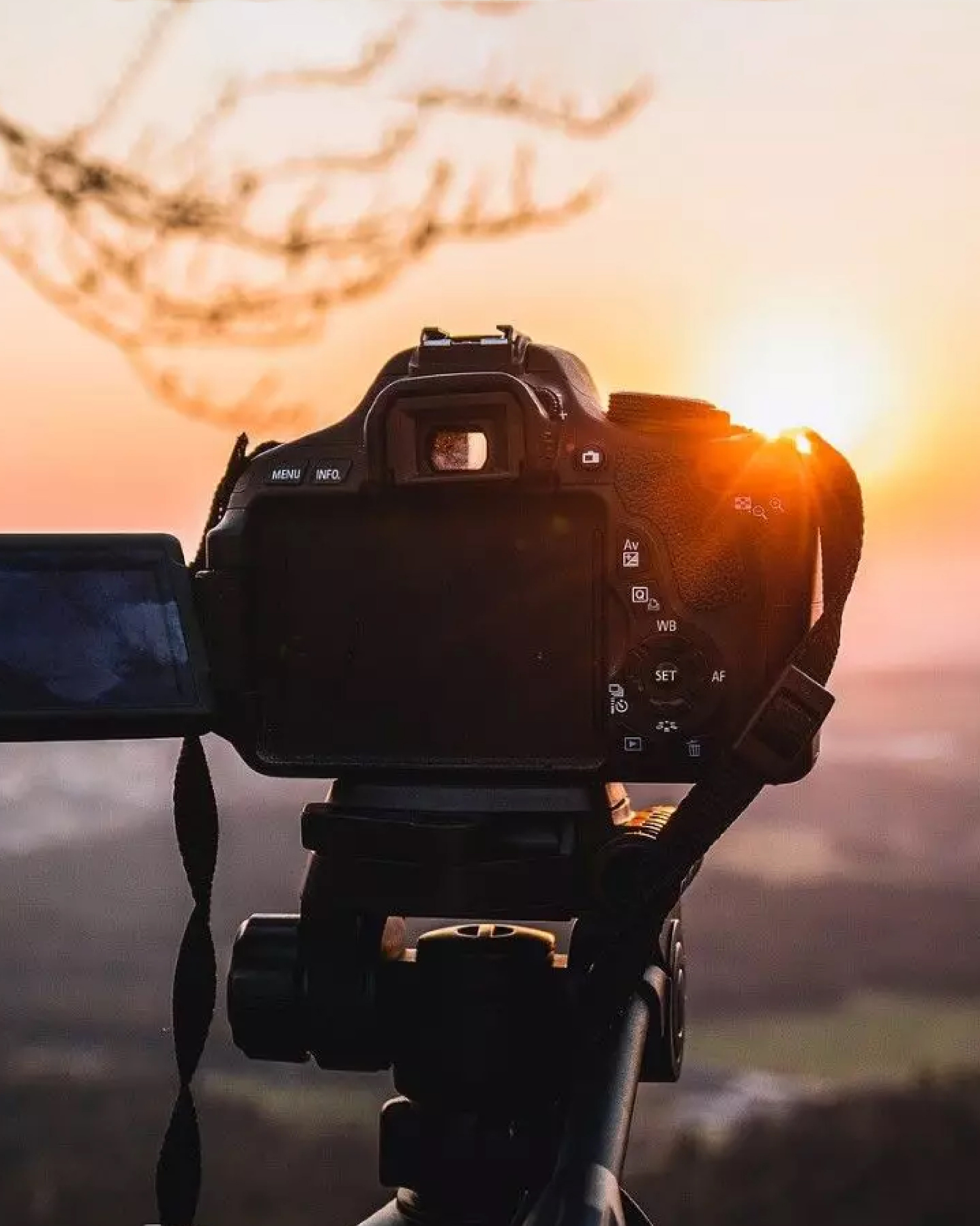 Курс фотогрaфии для начинающих «PHOTOSTART EXPRESS». Newschool — Курсы фотографии во Владивостоке