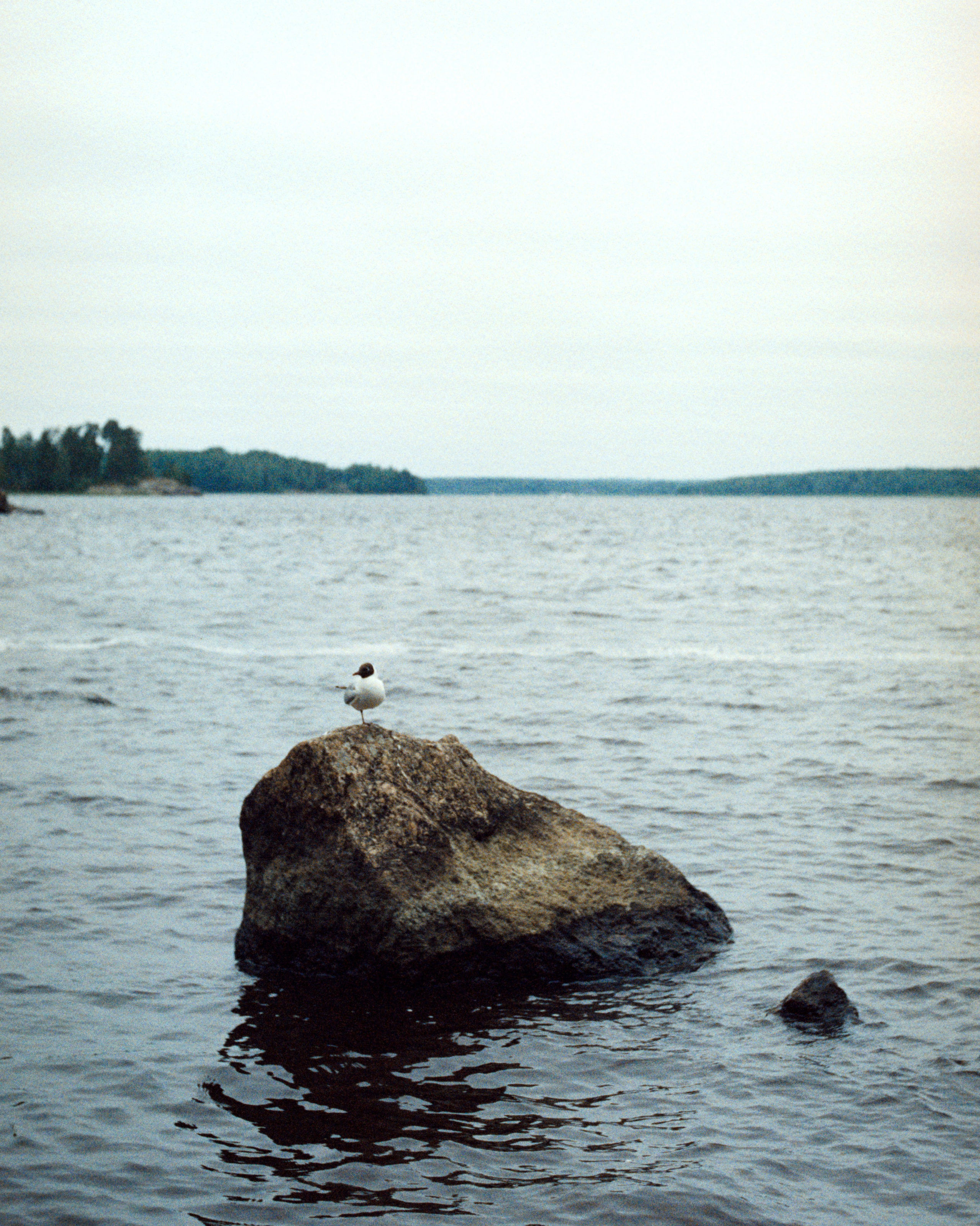Санкт-Петербург, 2025