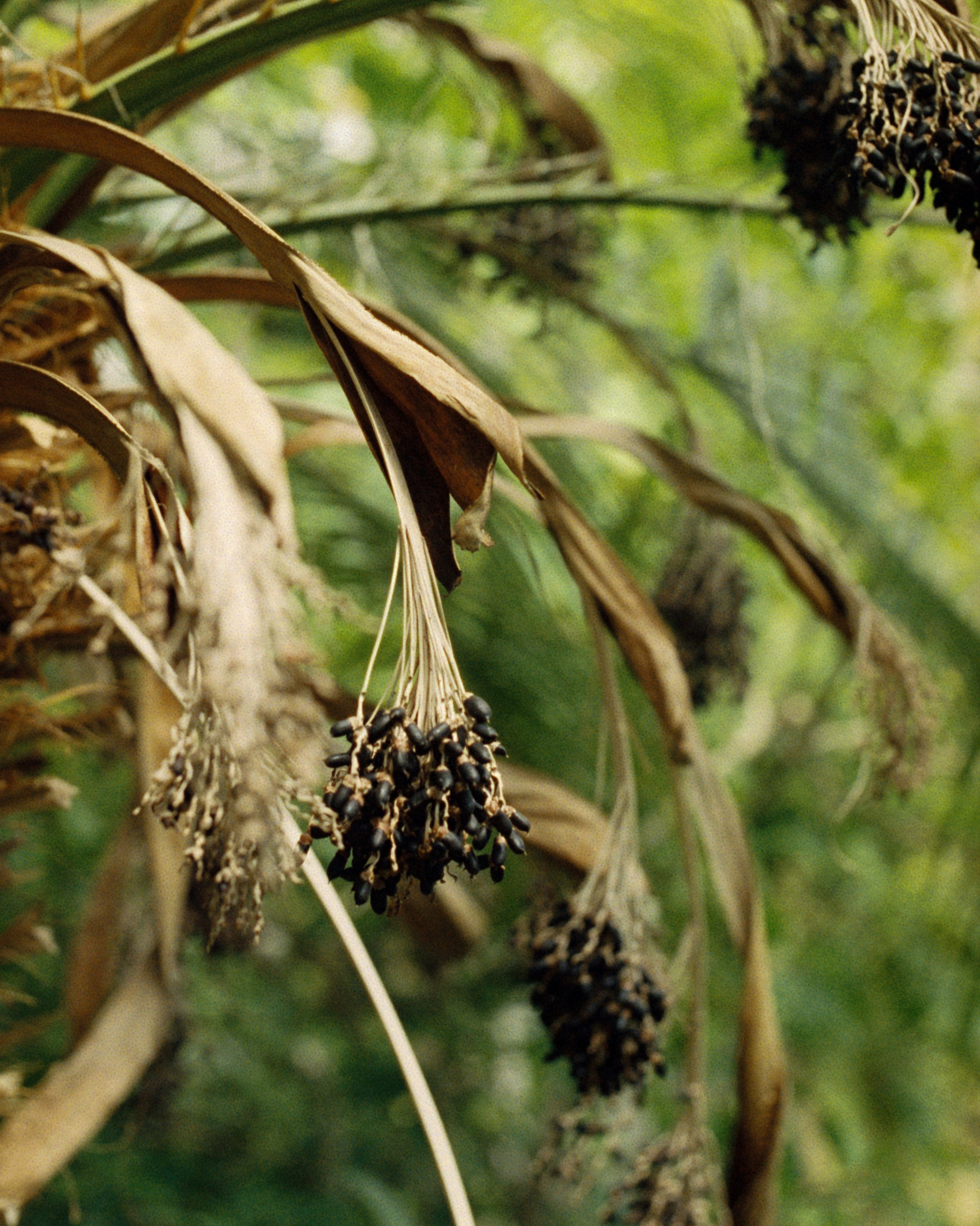 Санкт-Петербург, 2025