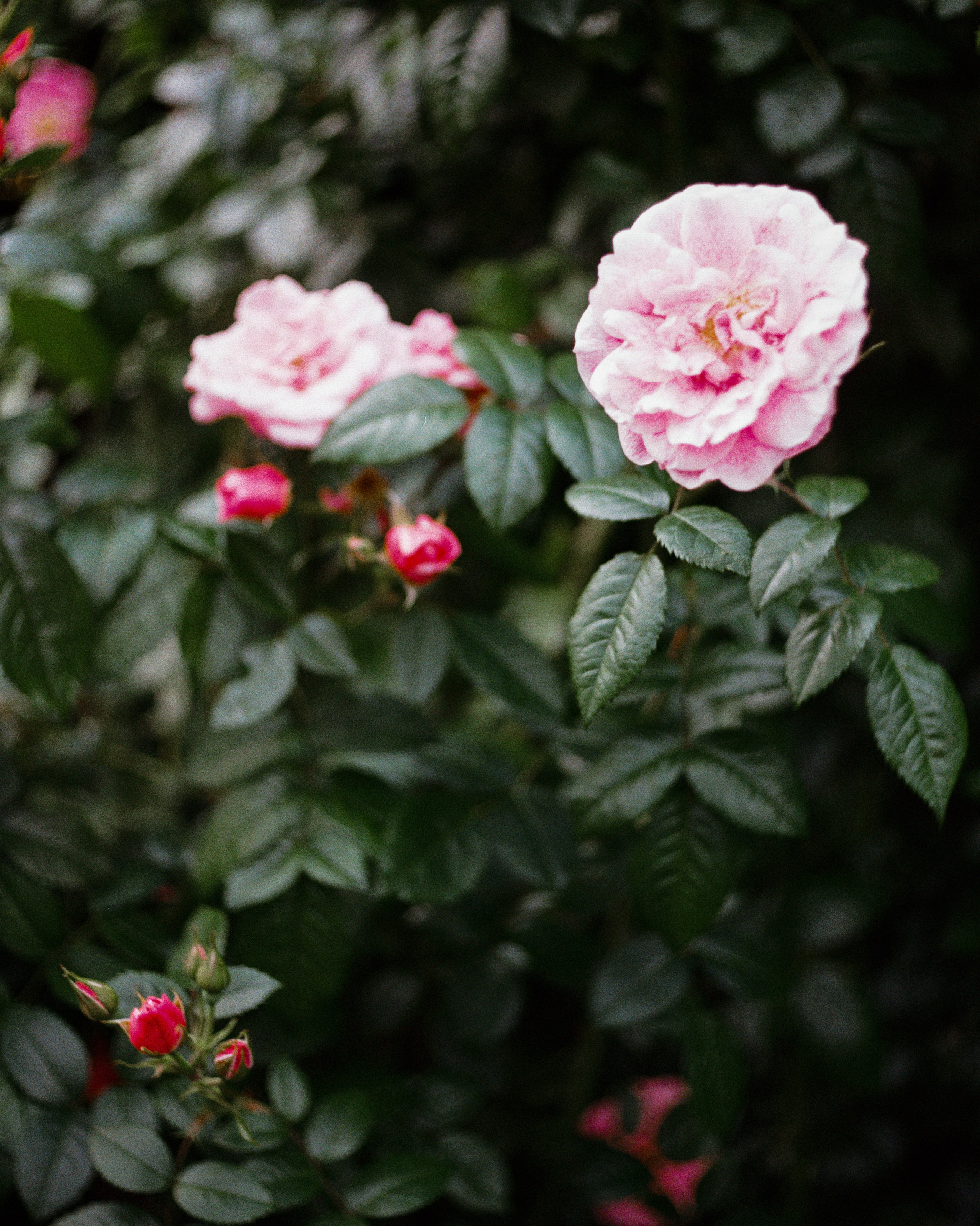 Санкт-Петербург, 2025