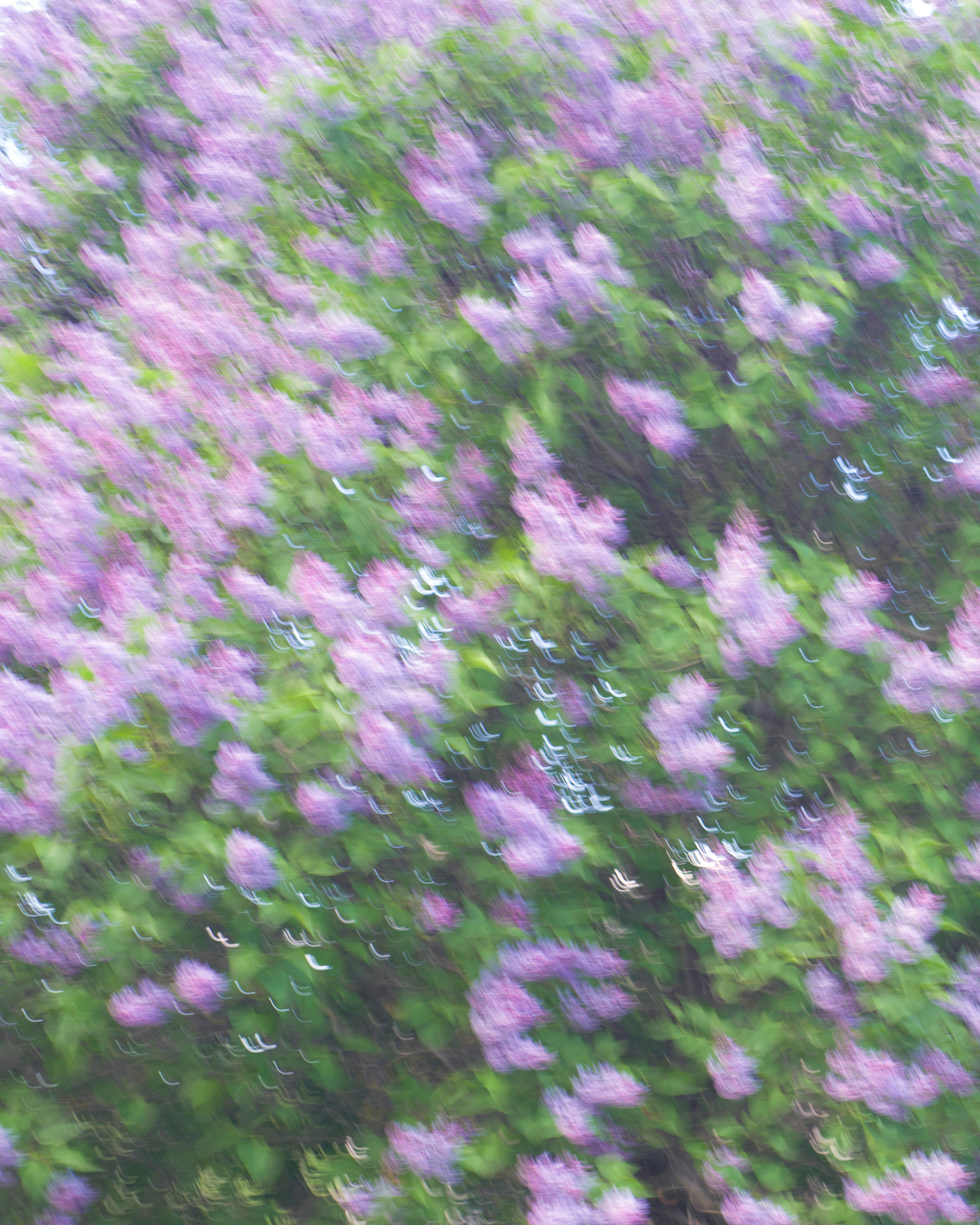 Принты, коллажи, фотографии. Фотограф Татьяна Байкова — официальный сайт