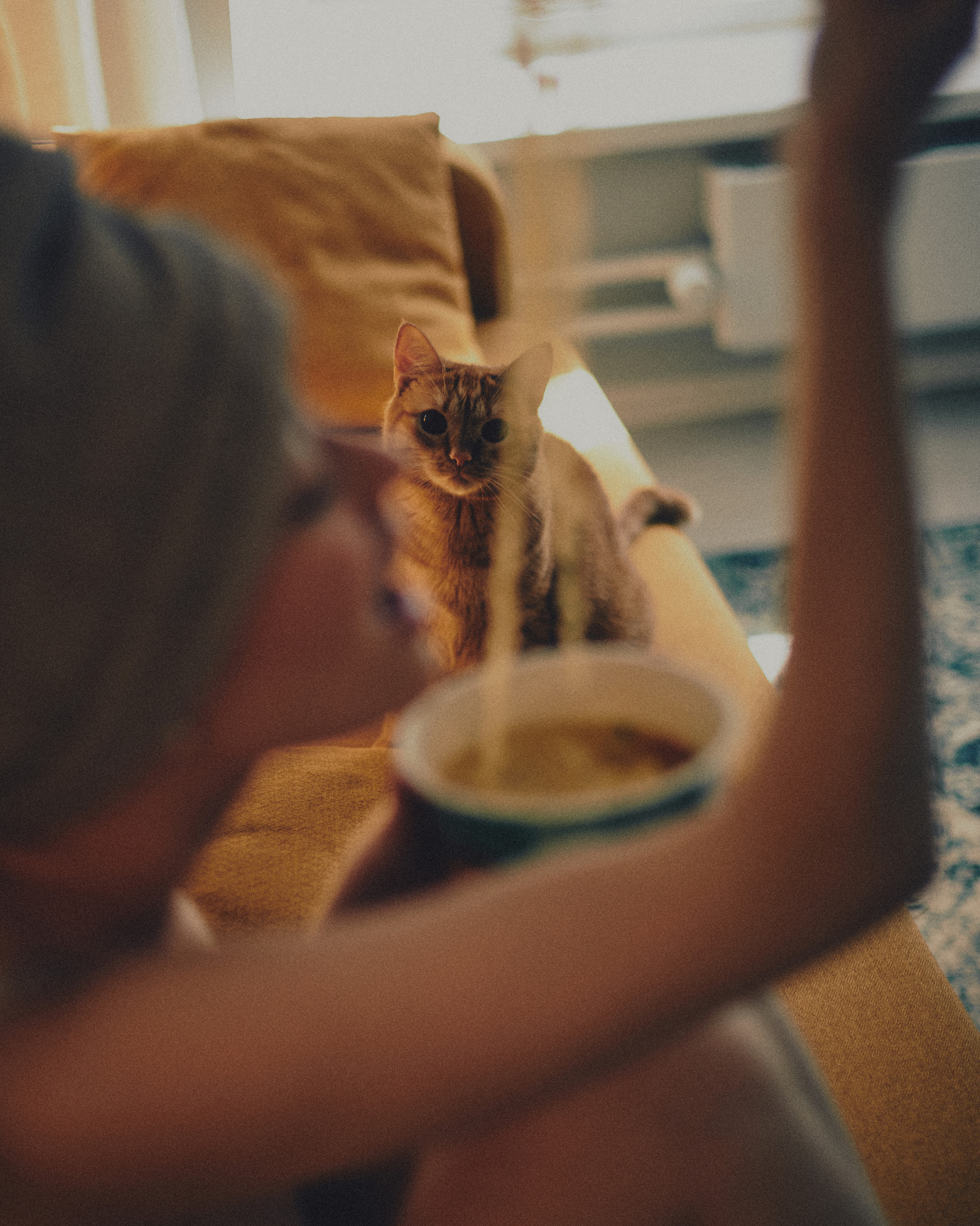 Портретный фотограф в Москве Ольга Крылова