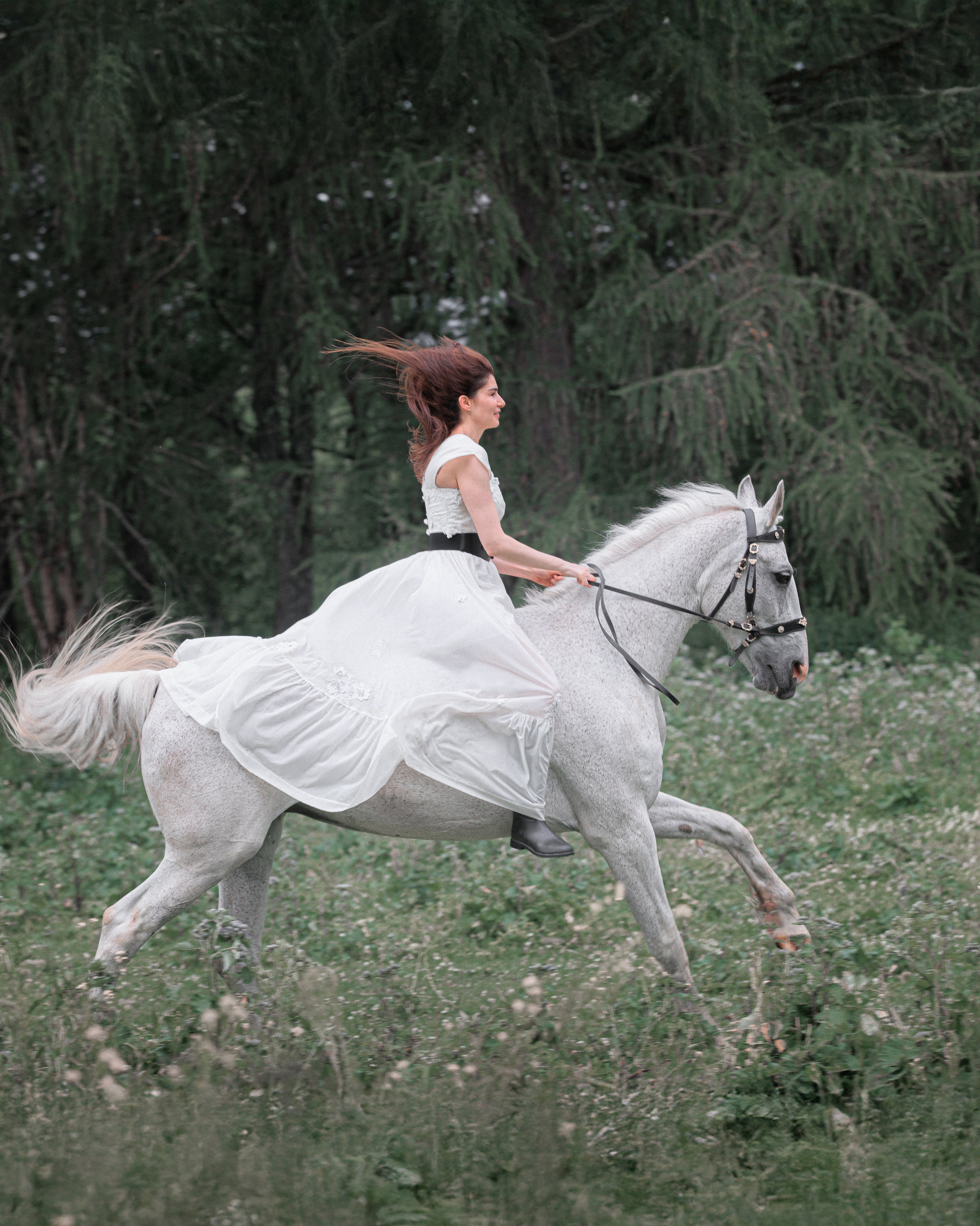 Как проходит фотосессия с лошадью: путь от заявки до готовых фотографий. Конный фотограф Яна Орлова. Фотосессии с лошадьми в Санкт-Петербурге