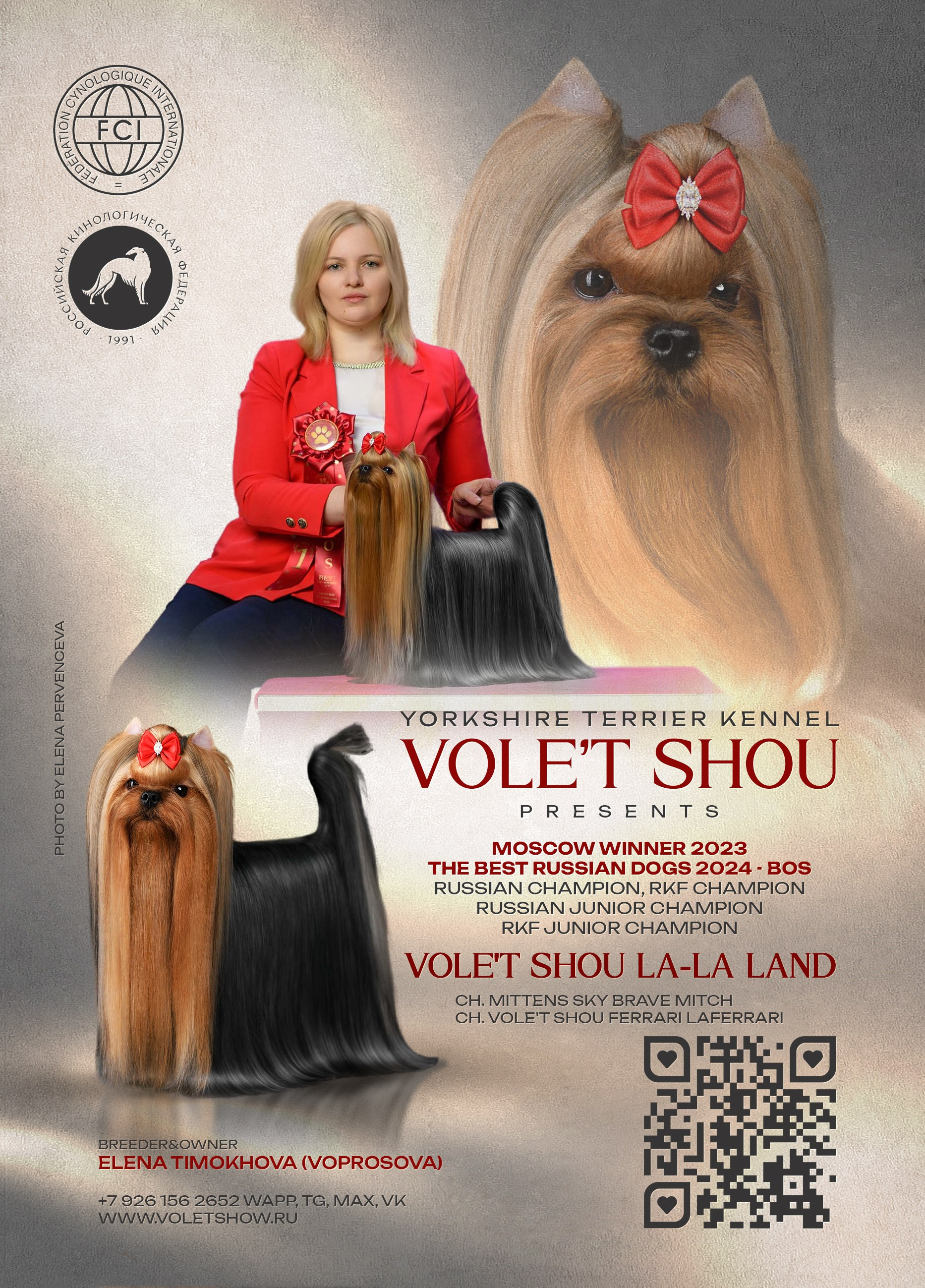 Разведение йоркширских терьеров. Питомник Воле'Т Шоу Vole'T Shou. Йоркширский терьер — питомник йоркширских терьеров Vole'T Shou