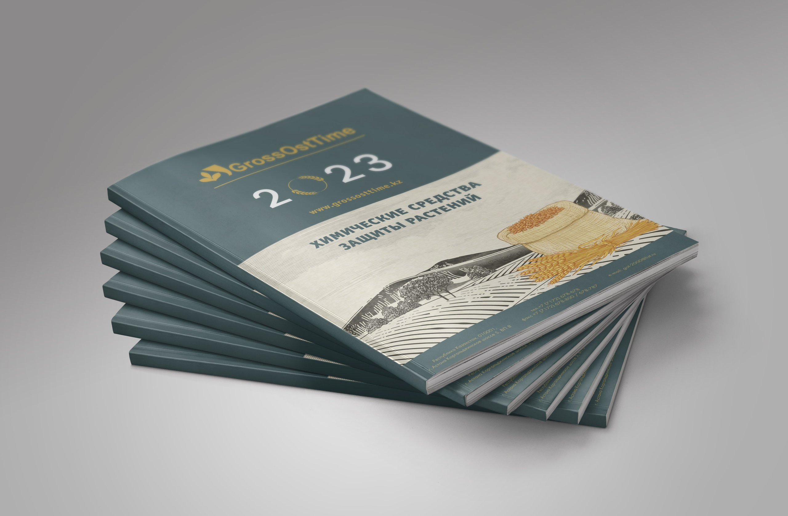 Графический дизайн. Профессиональный фотограф в Астане