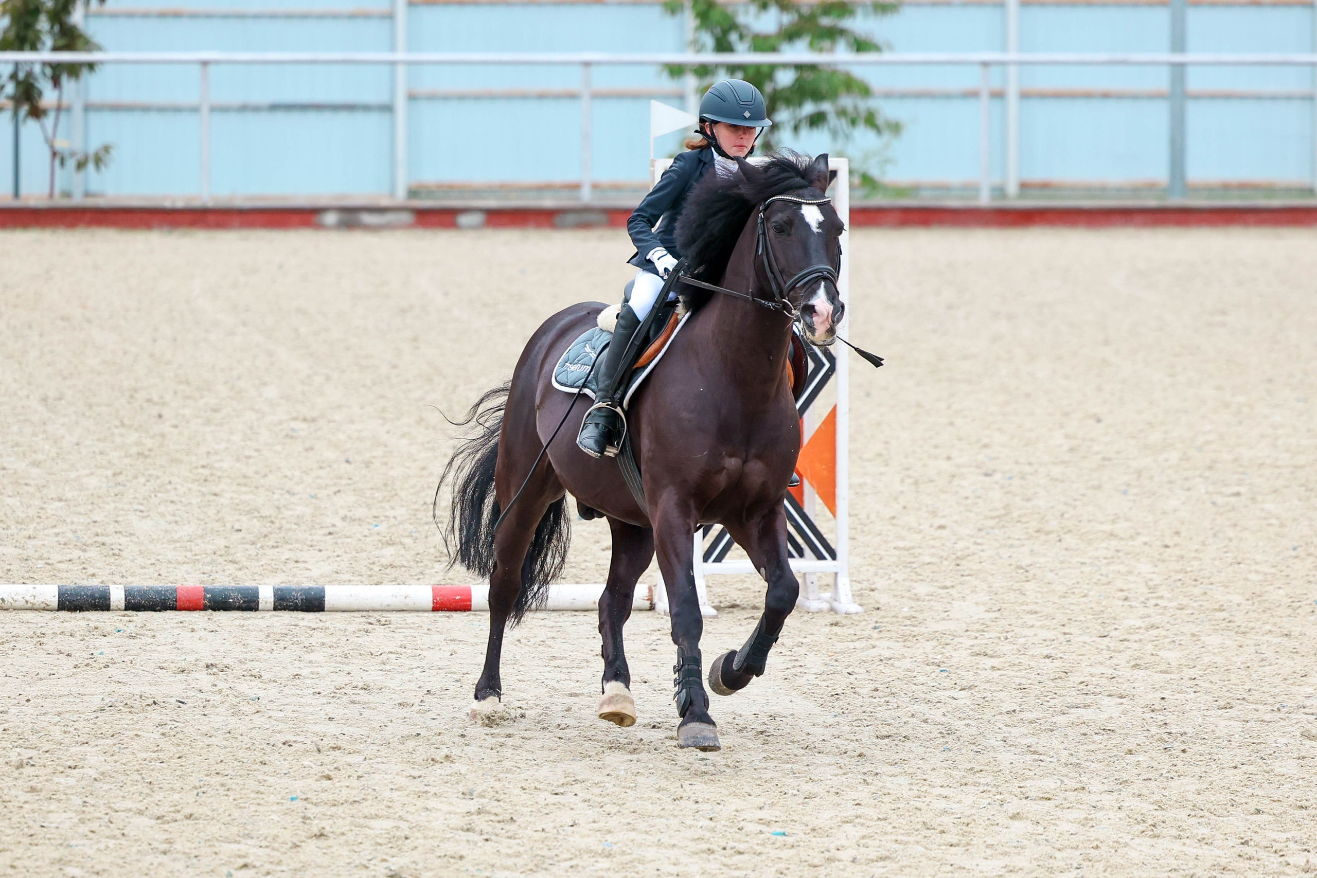 КСК КОНКОРД 23.08. Фотограф Баринова Полина
