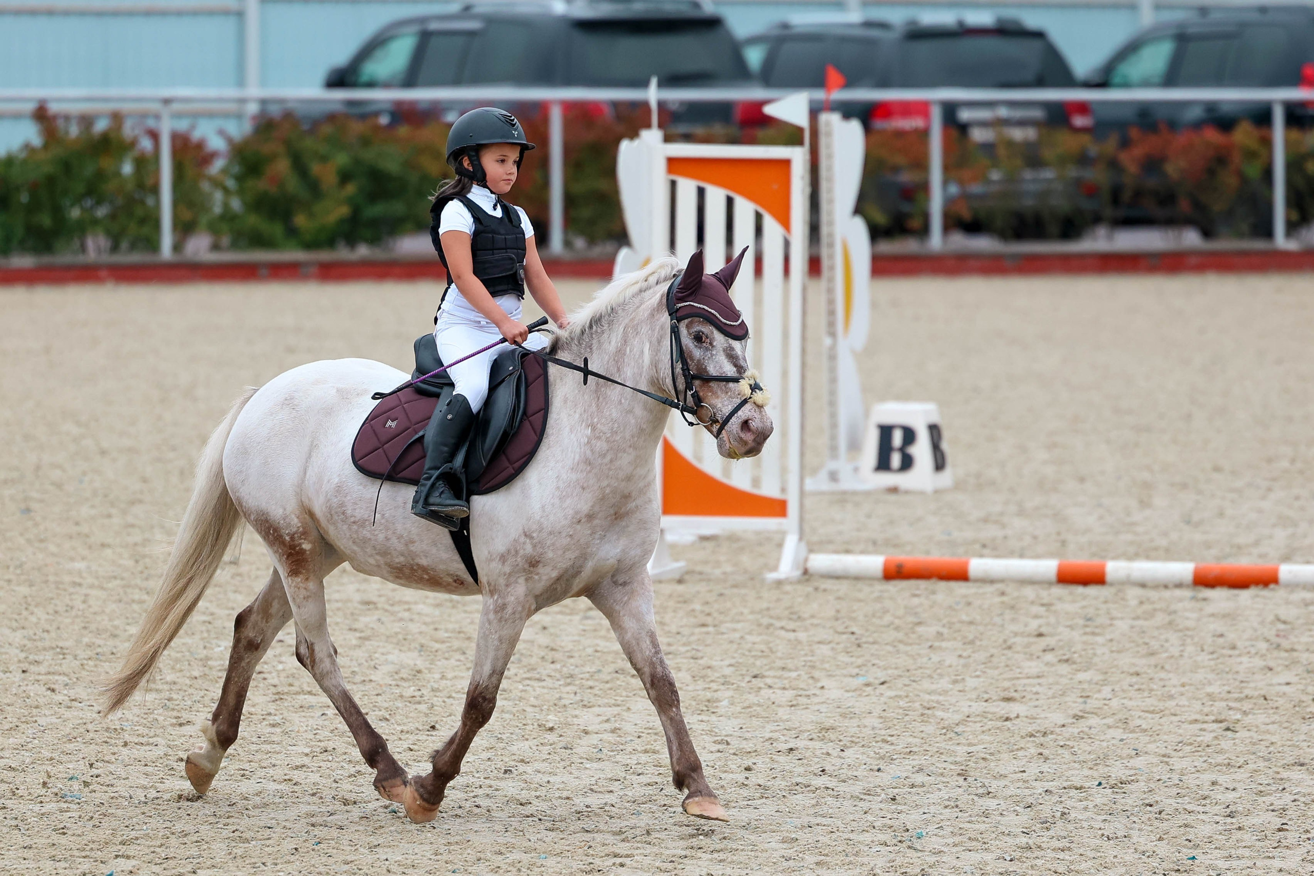 КСК КОНКОРД 23.08. Фотограф Баринова Полина