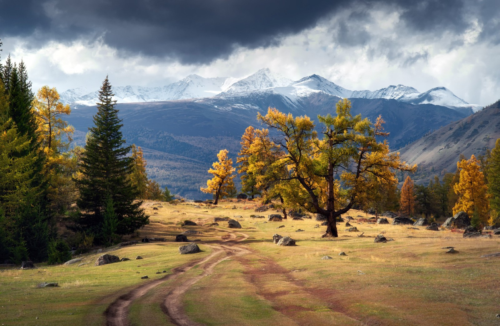 Фототур по осеннему Алтаю «Встречаем предзимье». Профессиональный пейзажный фотограф Алёна Рубан