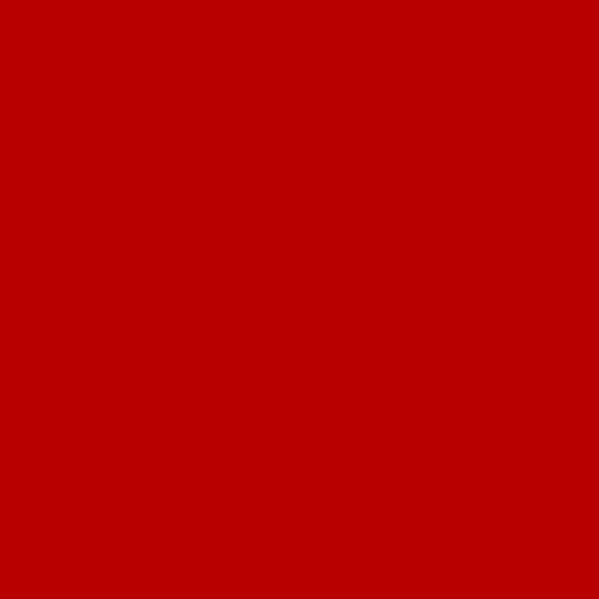 Фоны для портретов. Школьный фотограф в Евпатории