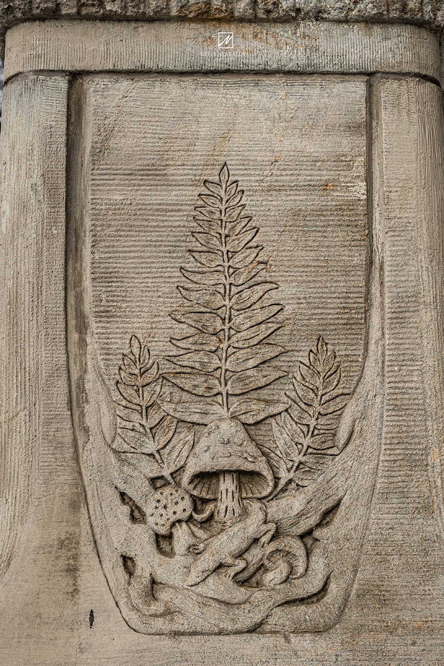 Северный модерн: доходный дом Лидваль. Фотограф и искусствовед в Туле и Санкт-Петербурге Нелли Некрасова