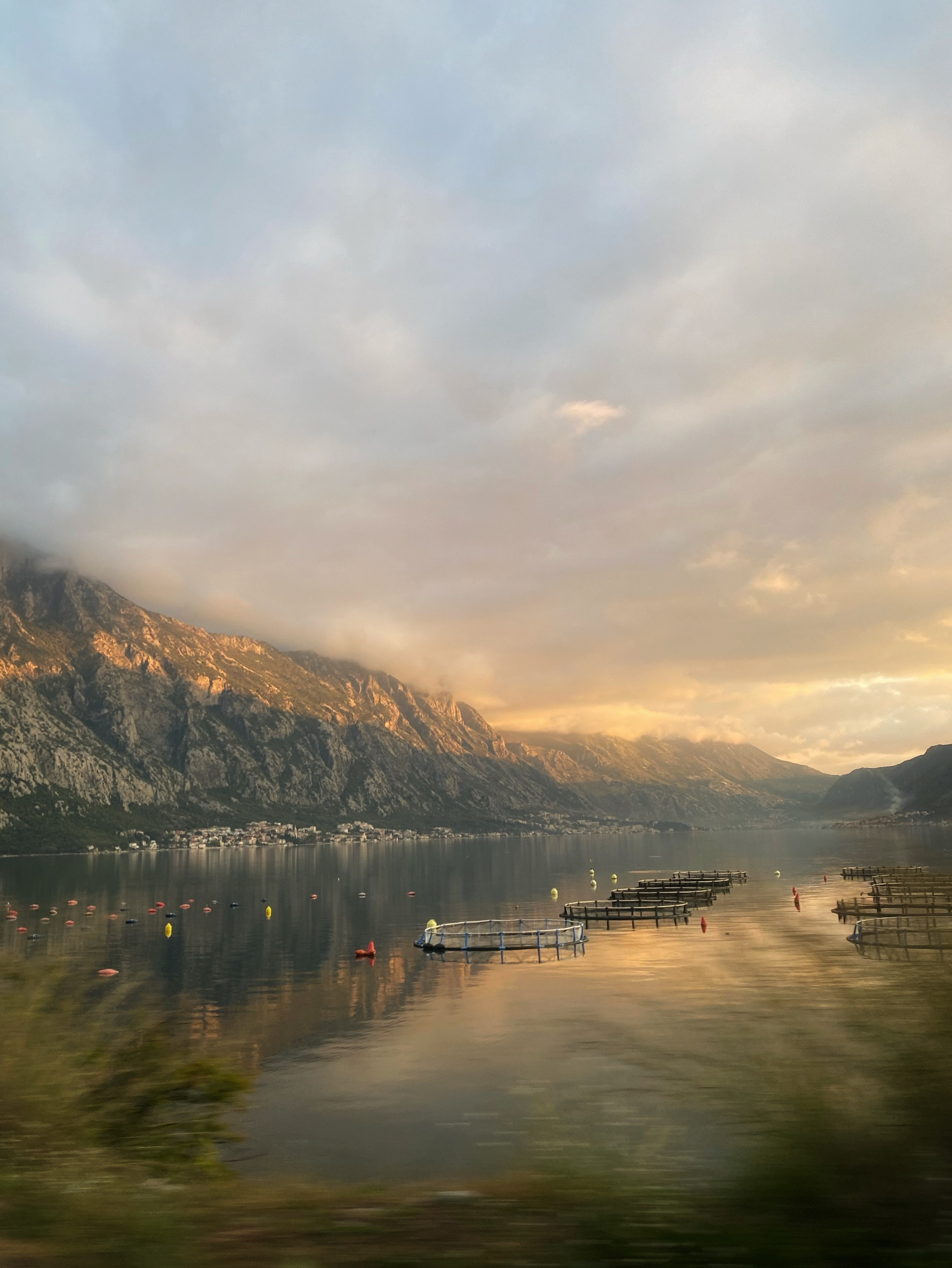 Голосование. Калужский городской фотоконкурс