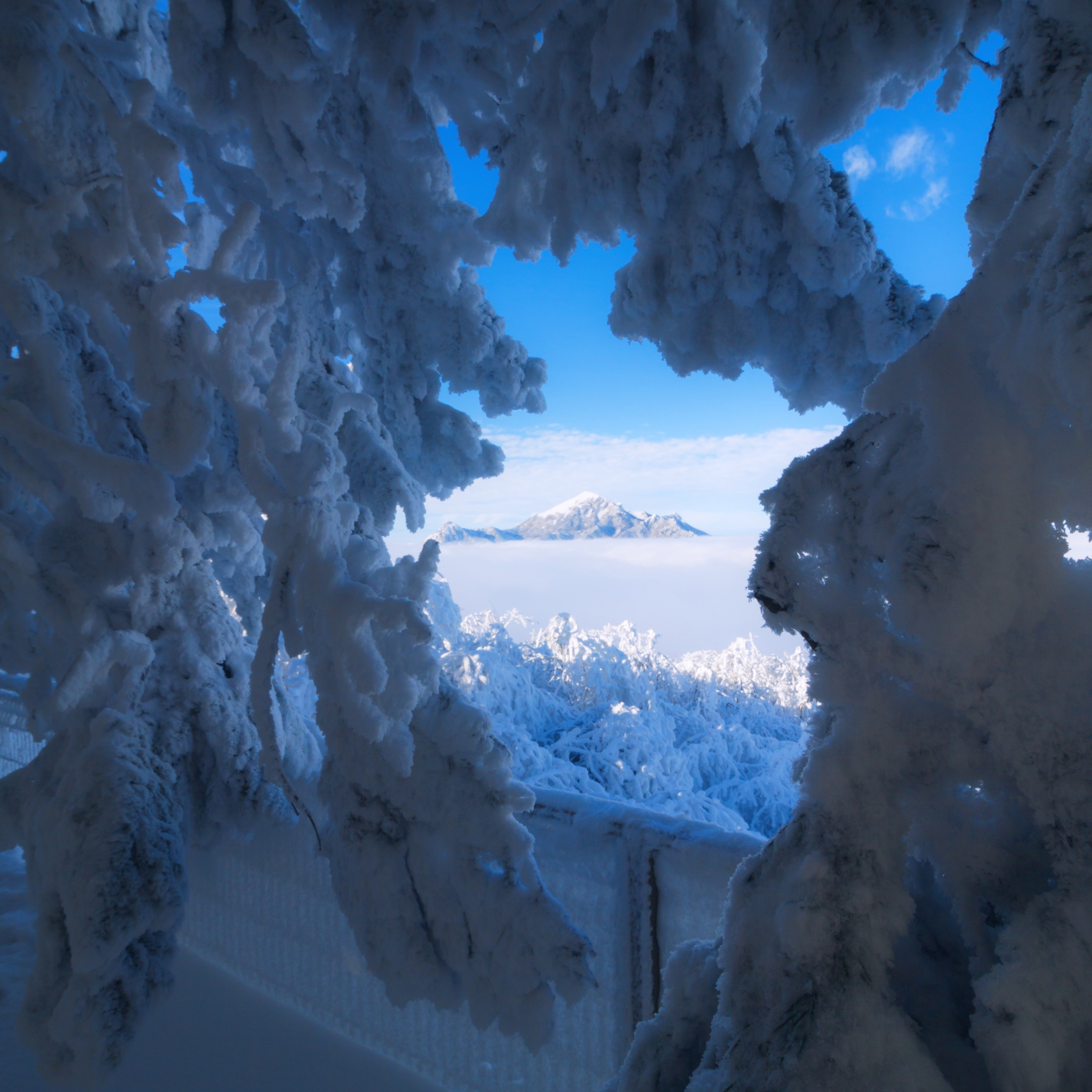 Красивая зима в Пятигорске на вершине горы Машук