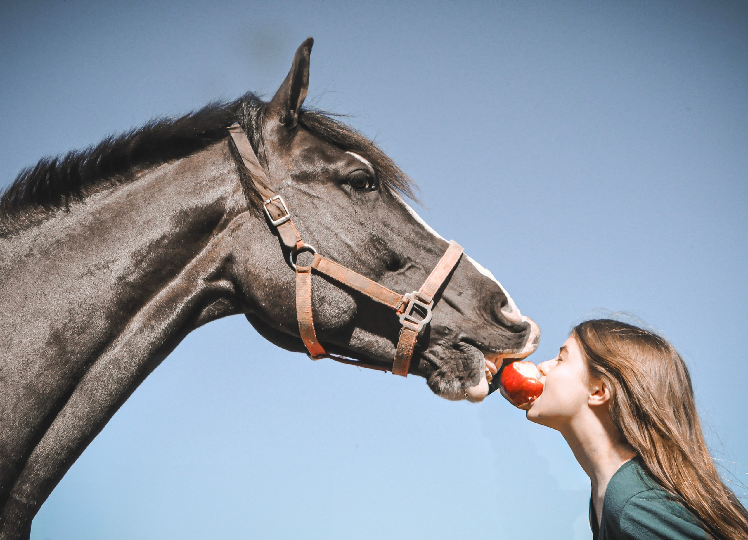 Философия портрета III поток