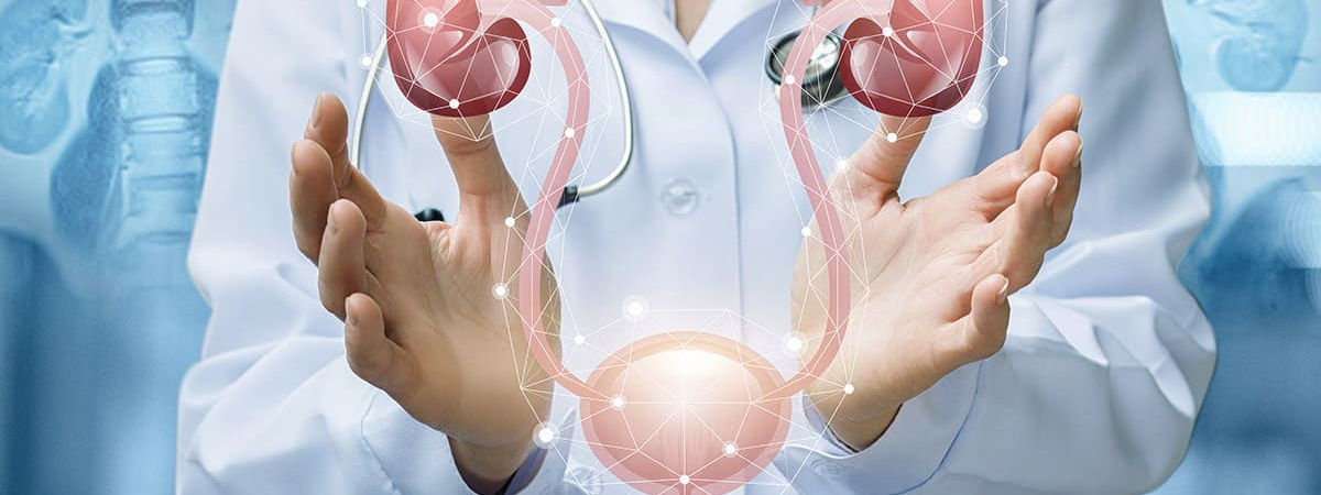 Заболевания моче-половой системы. «Сово-Сова» продукция для омоложения, здоровья и долголетия