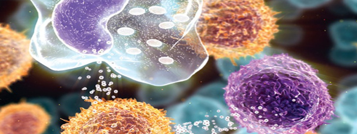 Препараты против любого воспаления. «Сово-Сова» продукция для омоложения, здоровья и долголетия