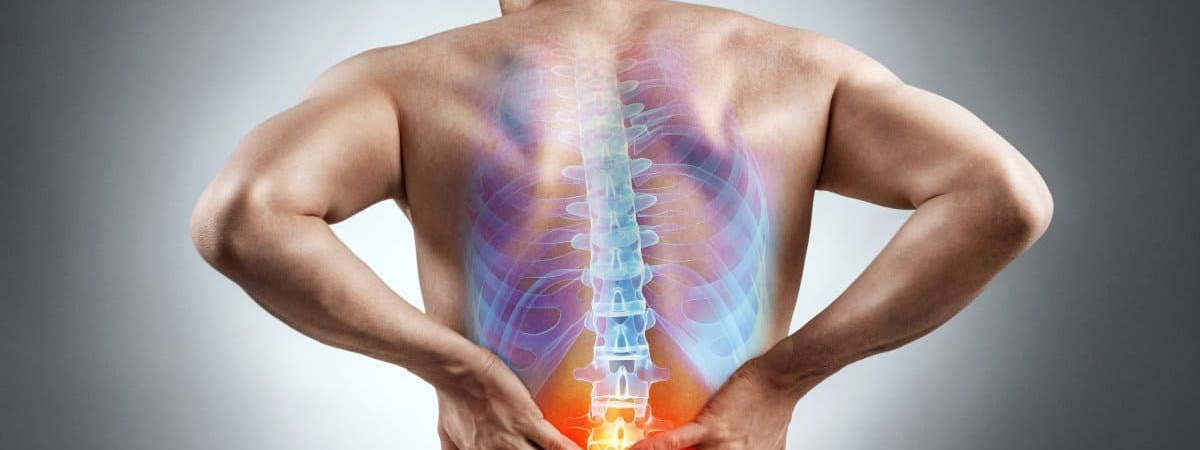 Что принимать при заболеваниях опорно-двигательного аппарата?. «Сово-Сова» продукция для омоложения, здоровья и долголетия