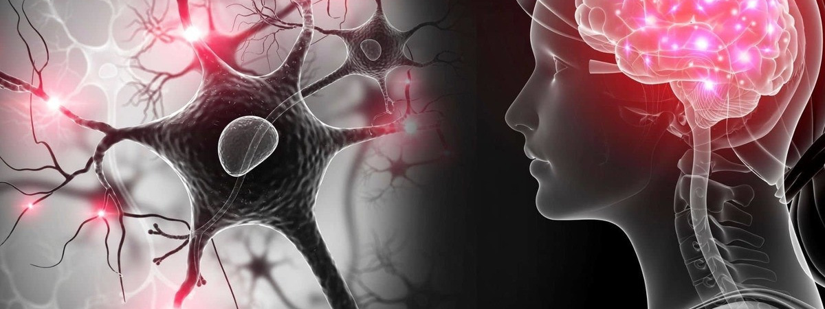 Как принимать комплексные пищевые добавки компании Сово-Сова?. «Сово-Сова» продукция для омоложения, здоровья и долголетия