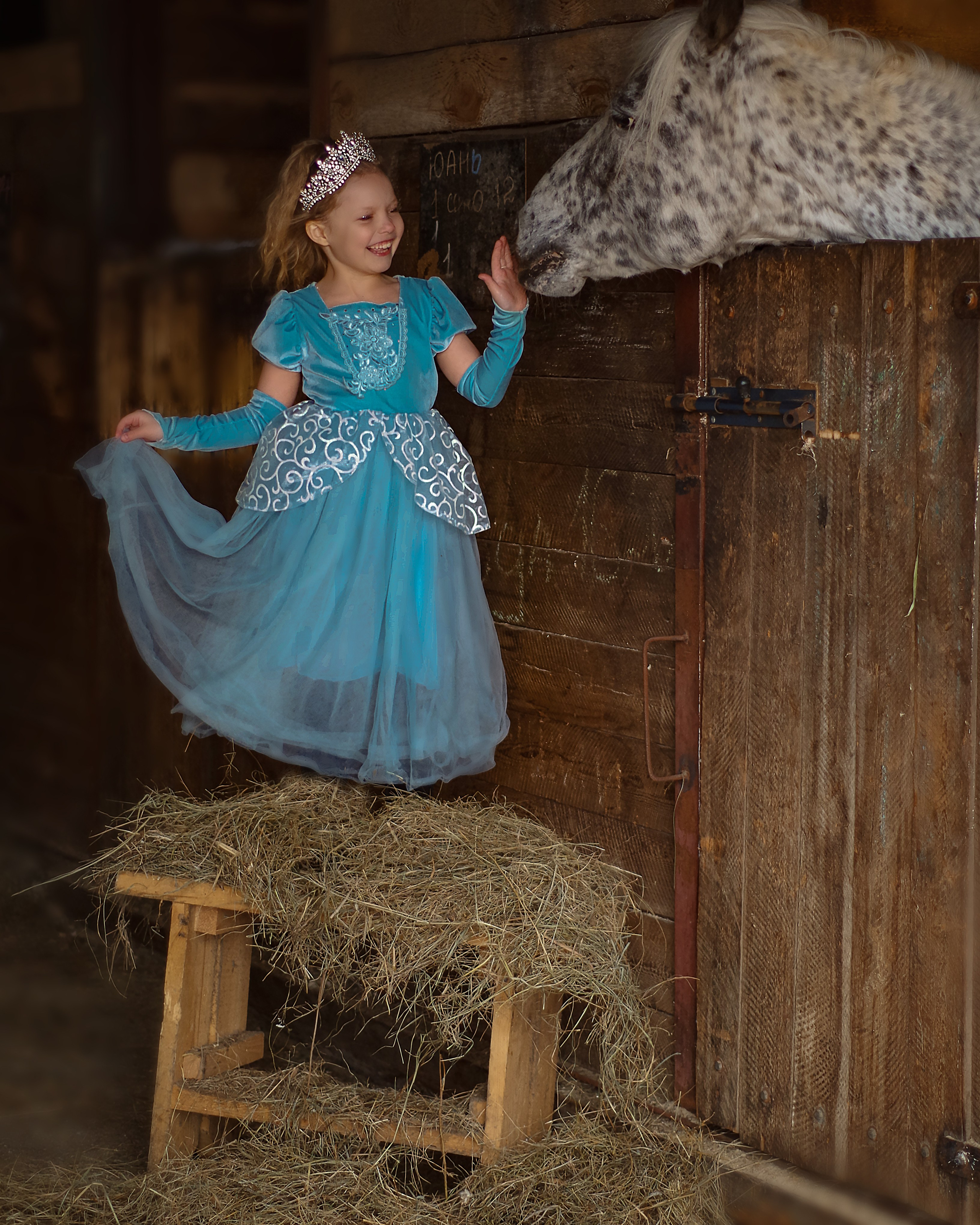 Услуги и цены. Фотограф Марина Доглядная Челябинск фотосессии с лошадьми, мотоциклами