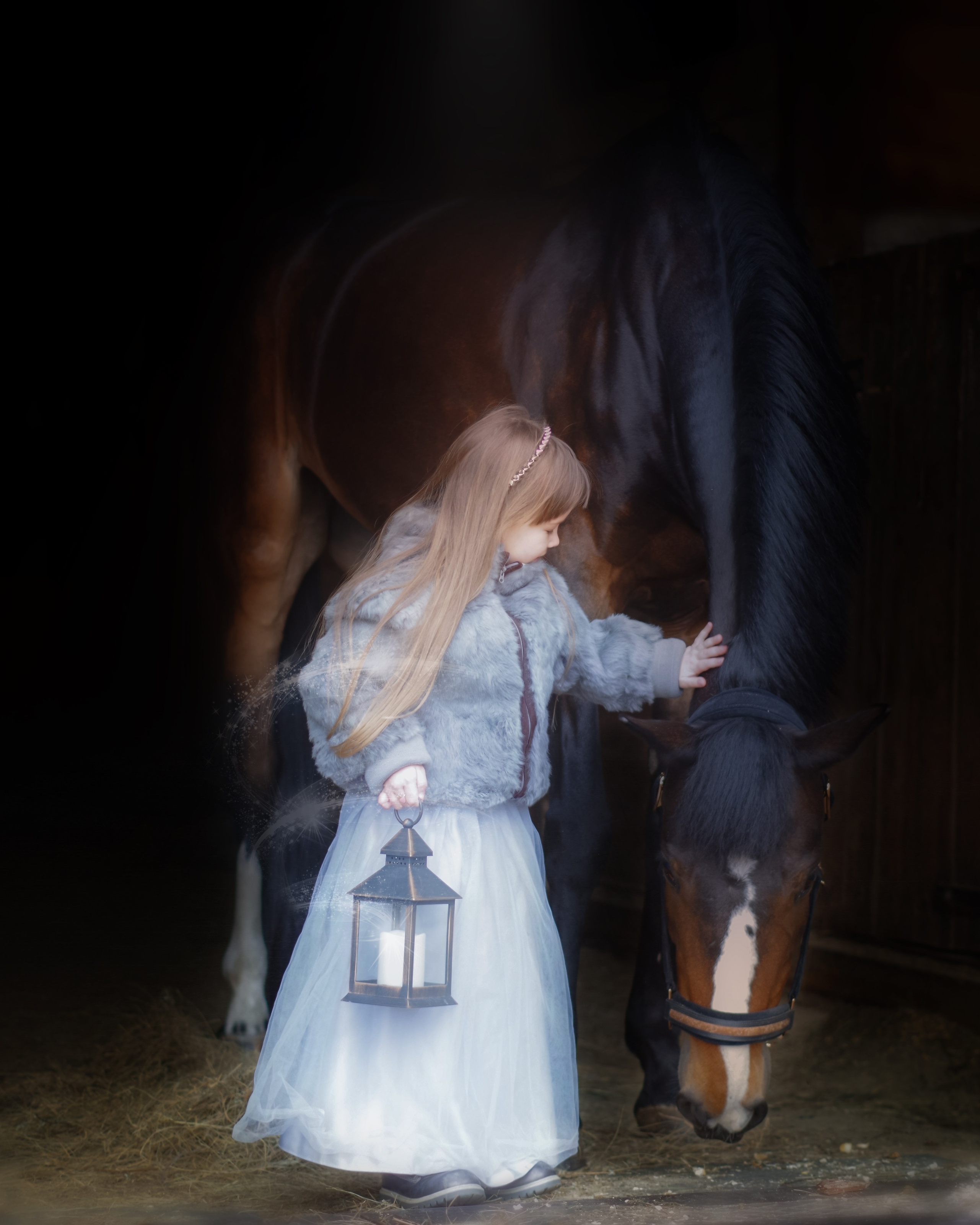 Услуги и цены. Фотограф Марина Доглядная Челябинск фотосессии с лошадьми, мотоциклами