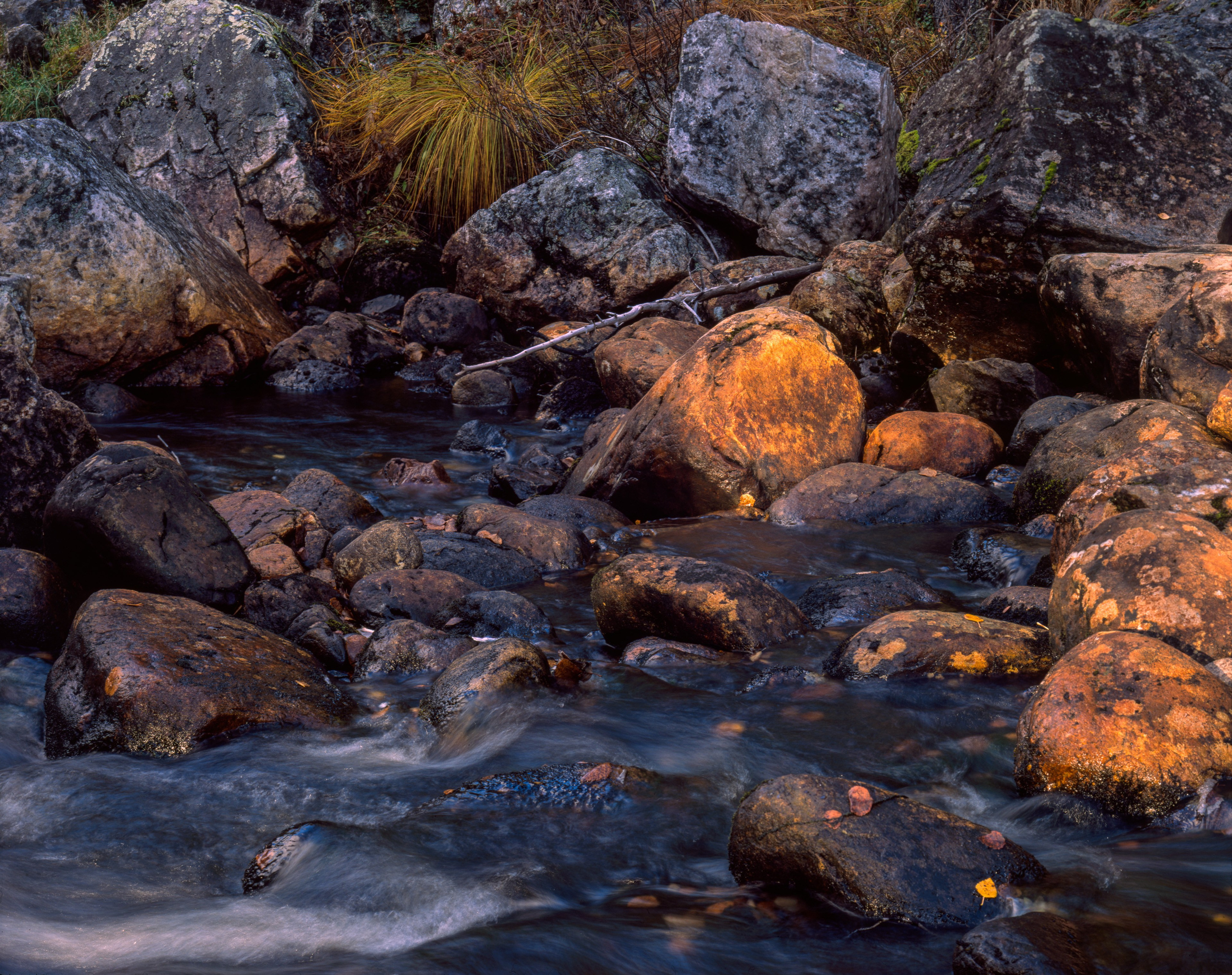 A remarkable day. Northern Nights