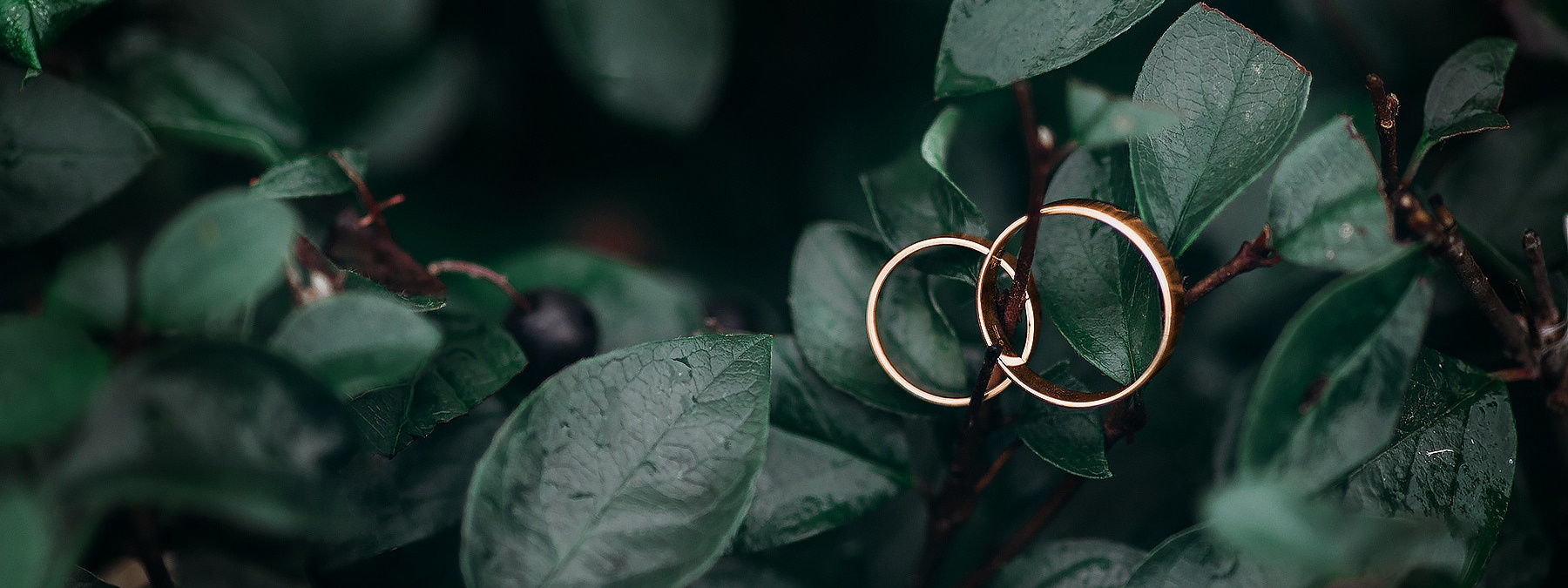 Прайс. Фотограф Смелова Ирина Кострома