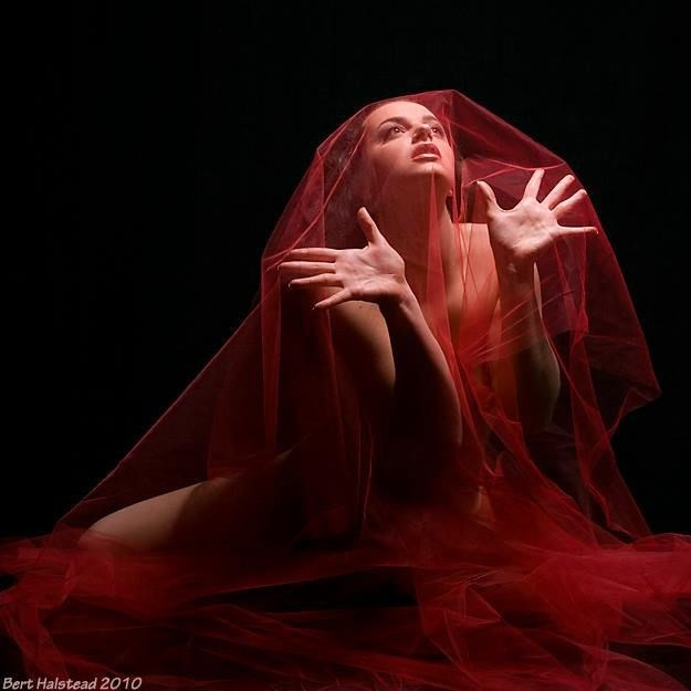 Съёмка с фатином. Фотограф Елизавета Хамович Омск