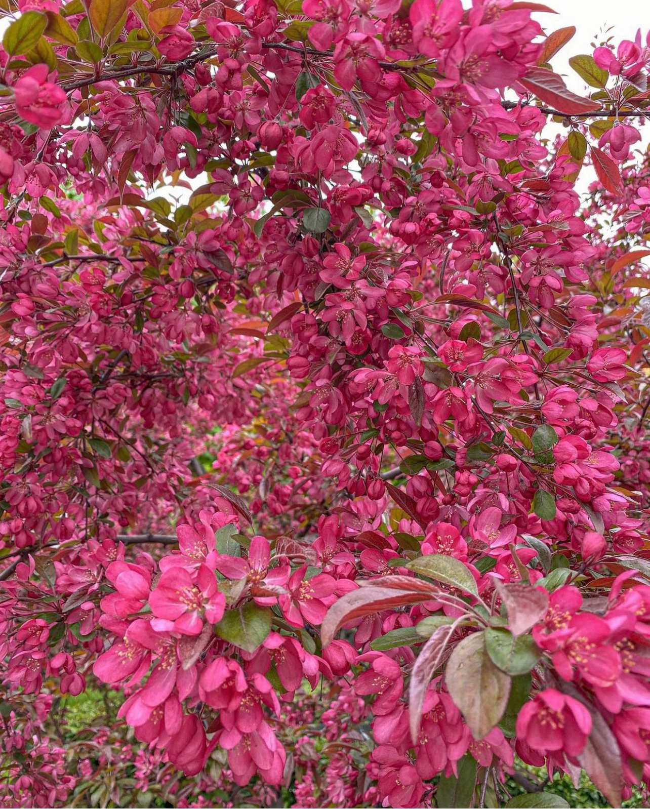 Адреса локаций. Женский и семейный фотограф Светлана