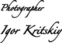 igorkritskiy.ru