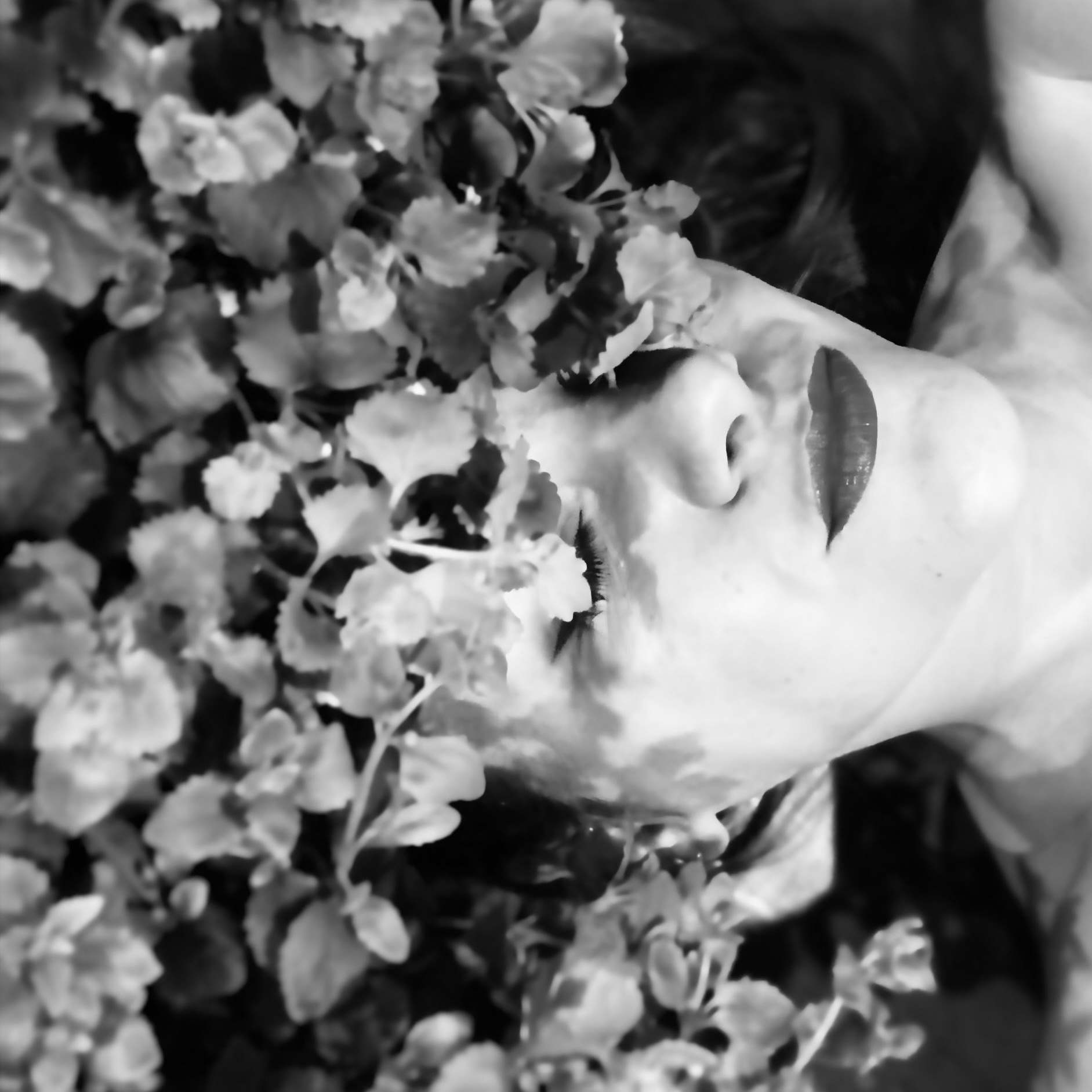 Фотограф Екатерина Рубаненко. Москва и МО