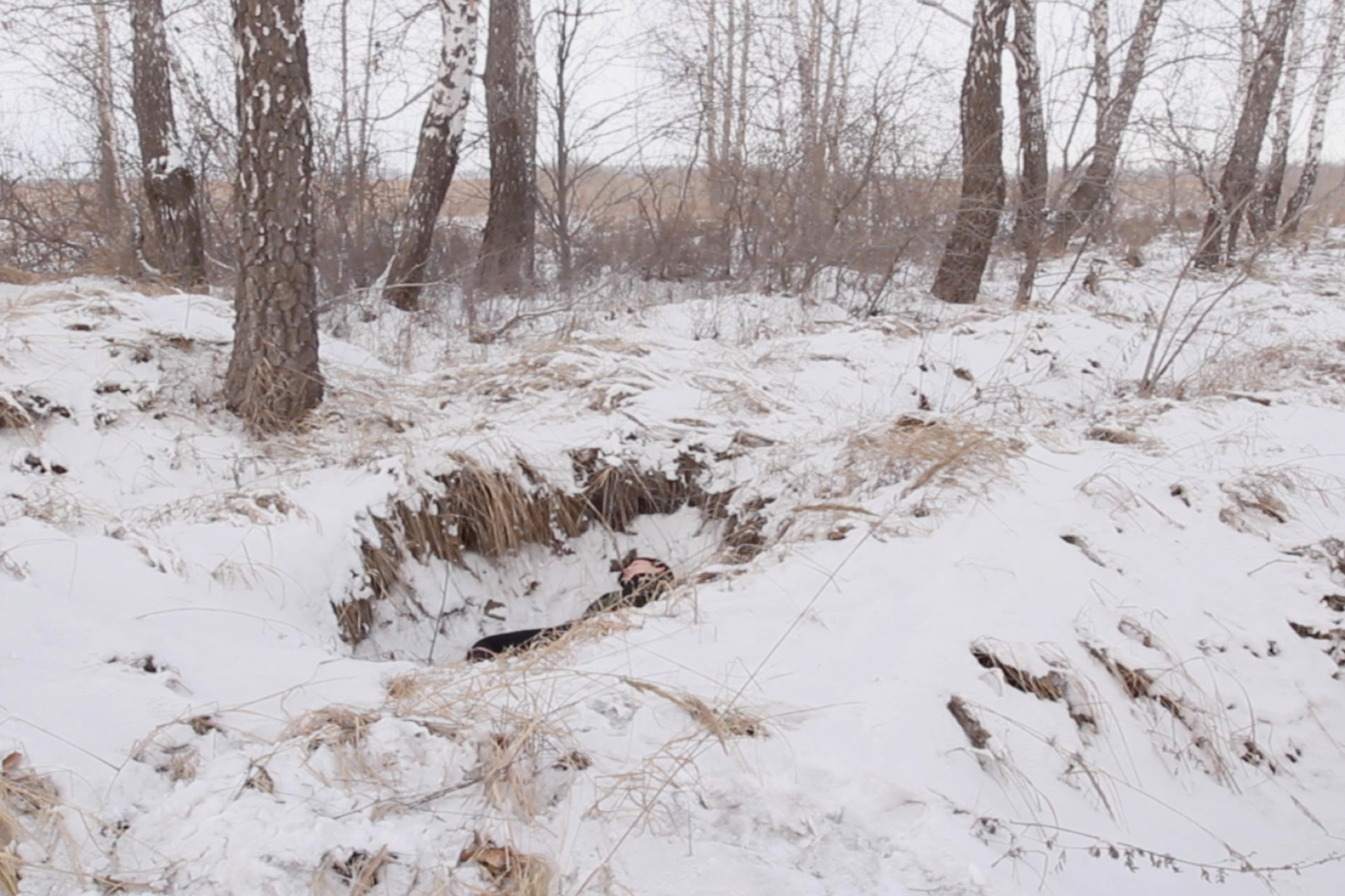 «Бакал» (2016) — Анастасия Богомолова