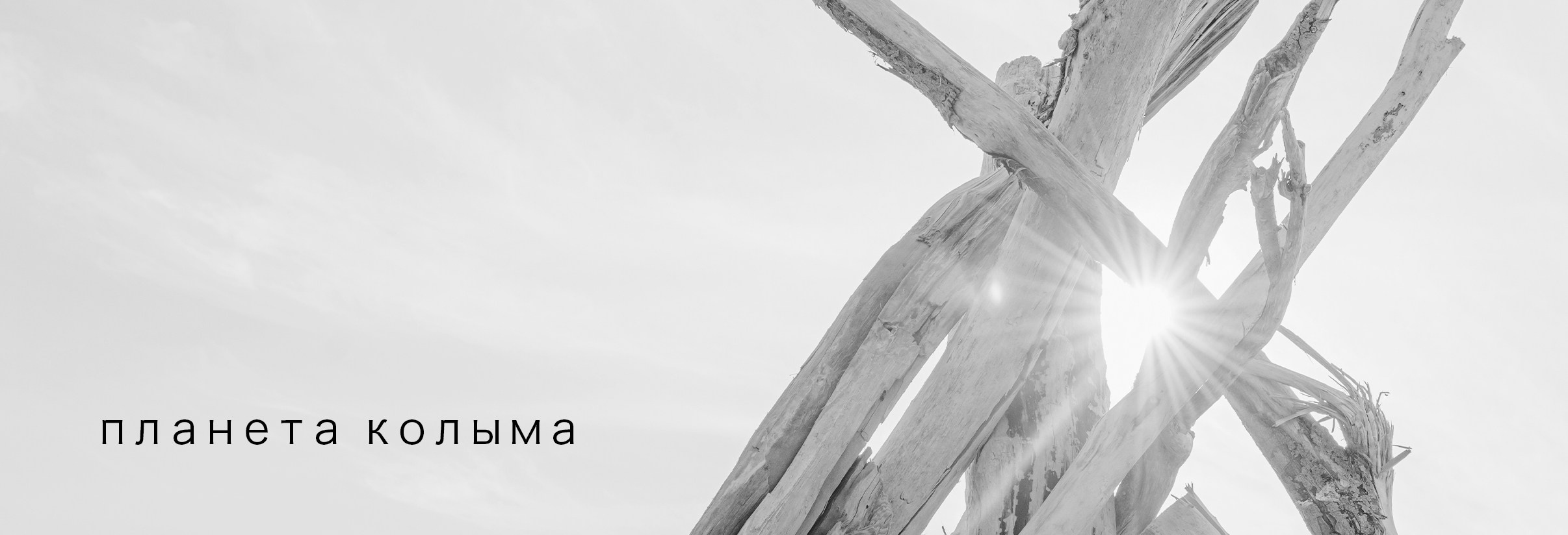 Купить фотографии. Авторские тиражные отпечатки. Элина Гусарова. Элина Гусарова