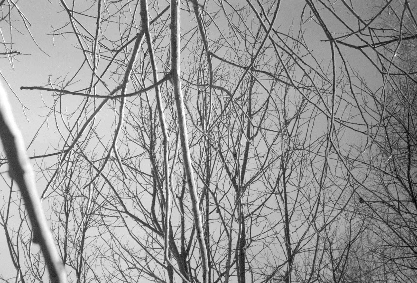 Зима муми-троллей. Artkapella|Олег Кузнецов