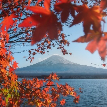 АВТОРСКИЕ ТУРЫ 2026. Семейный фотограф, фотосессия беременности в Новосибирске Кристина Киб